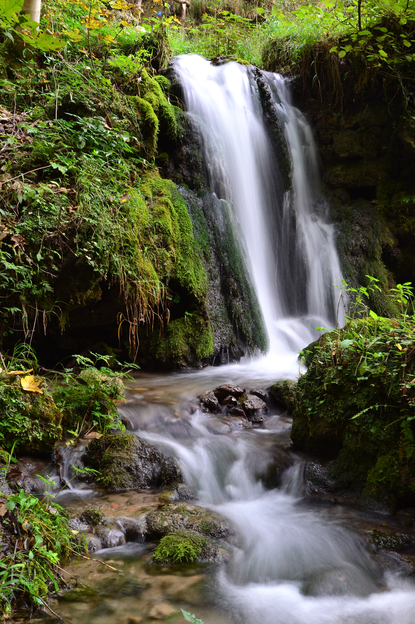 Nikon AF-S Nikkor 16-35mm F4G ED VR sample photo. Placid waterfalls photography