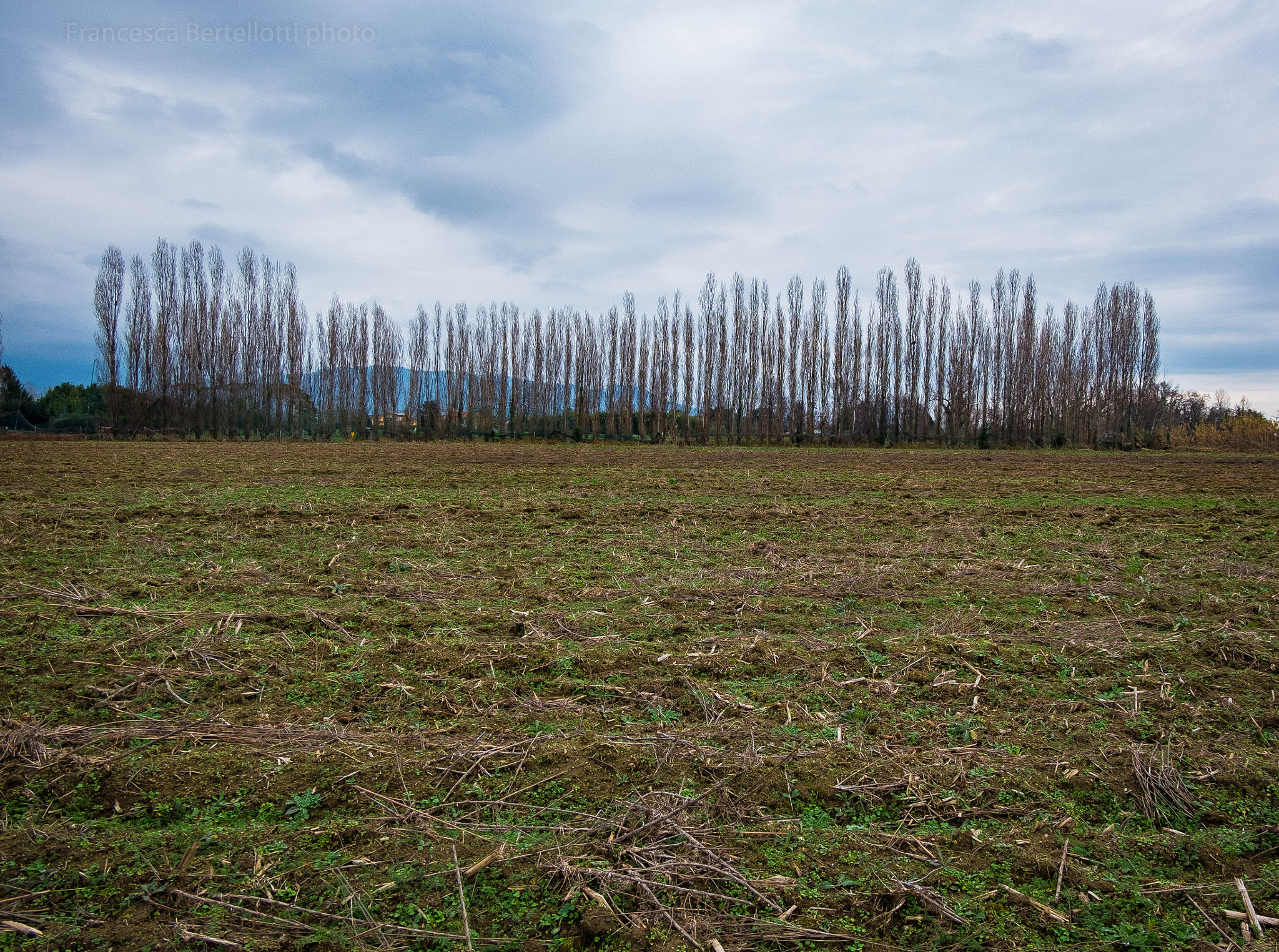 Fujifilm X-M1 + Fujifilm XC 16-50mm F3.5-5.6 OIS II sample photo. Dscf0571.jpg photography