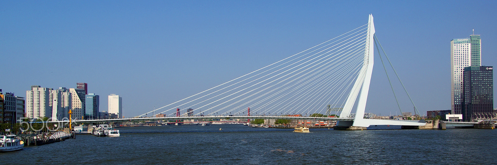 Sony DT 18-250mm F3.5-6.3 sample photo. Rotterdam - erasmus bridge photography