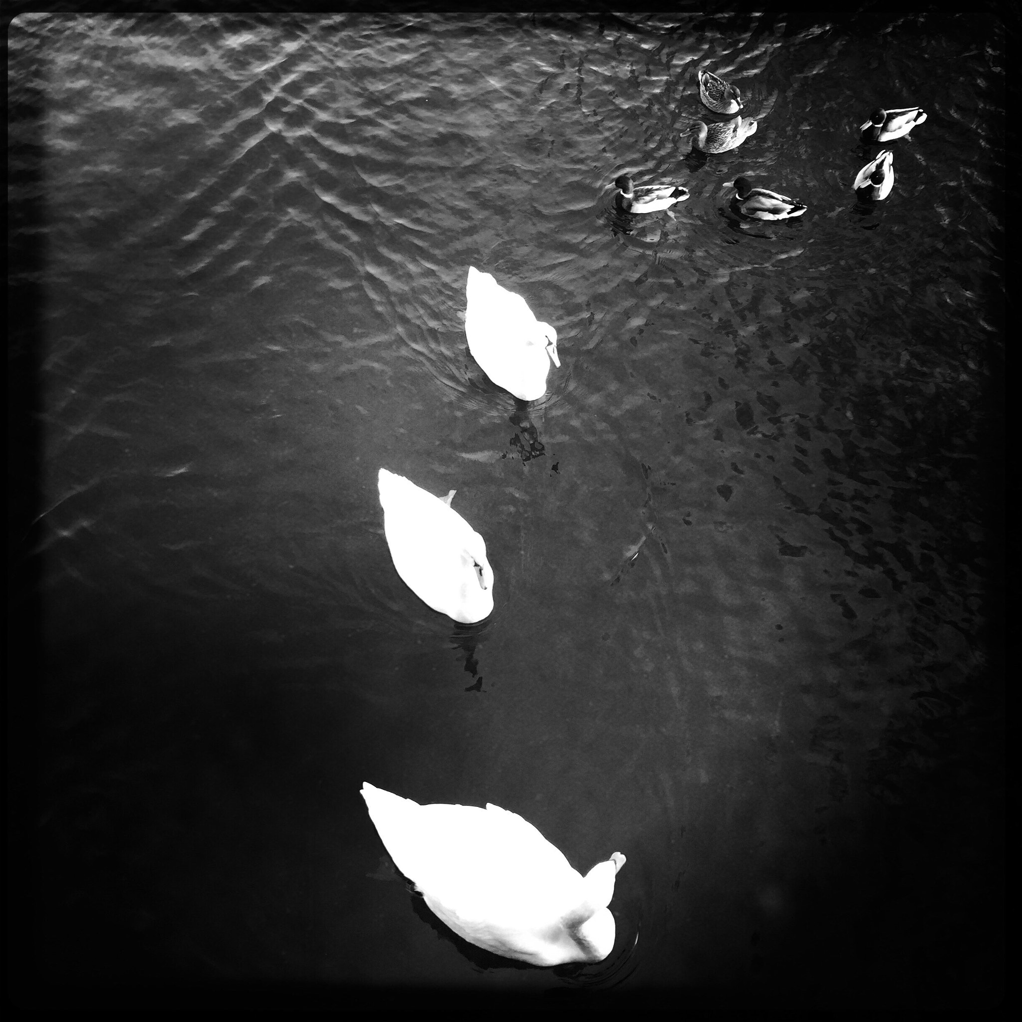 Hipstamatic 310 sample photo. Half circle photography