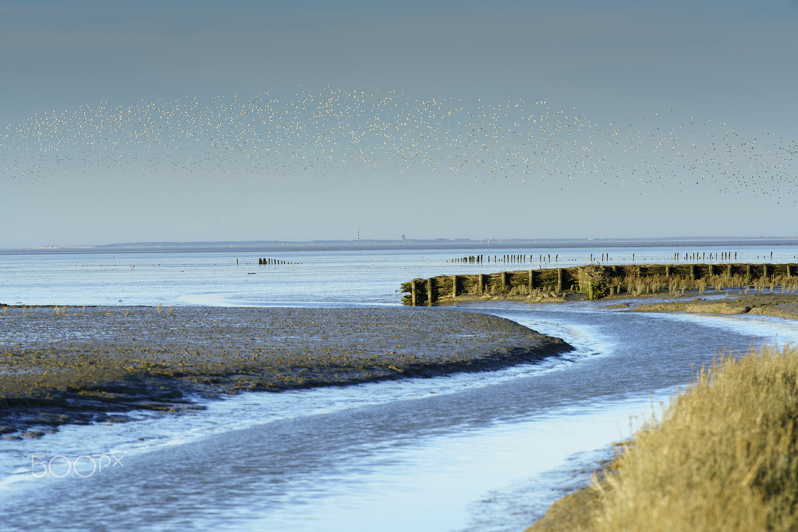 Sony a7R II + Minolta AF 200mm F2.8 HS-APO G sample photo. Waddenzee ameland photography