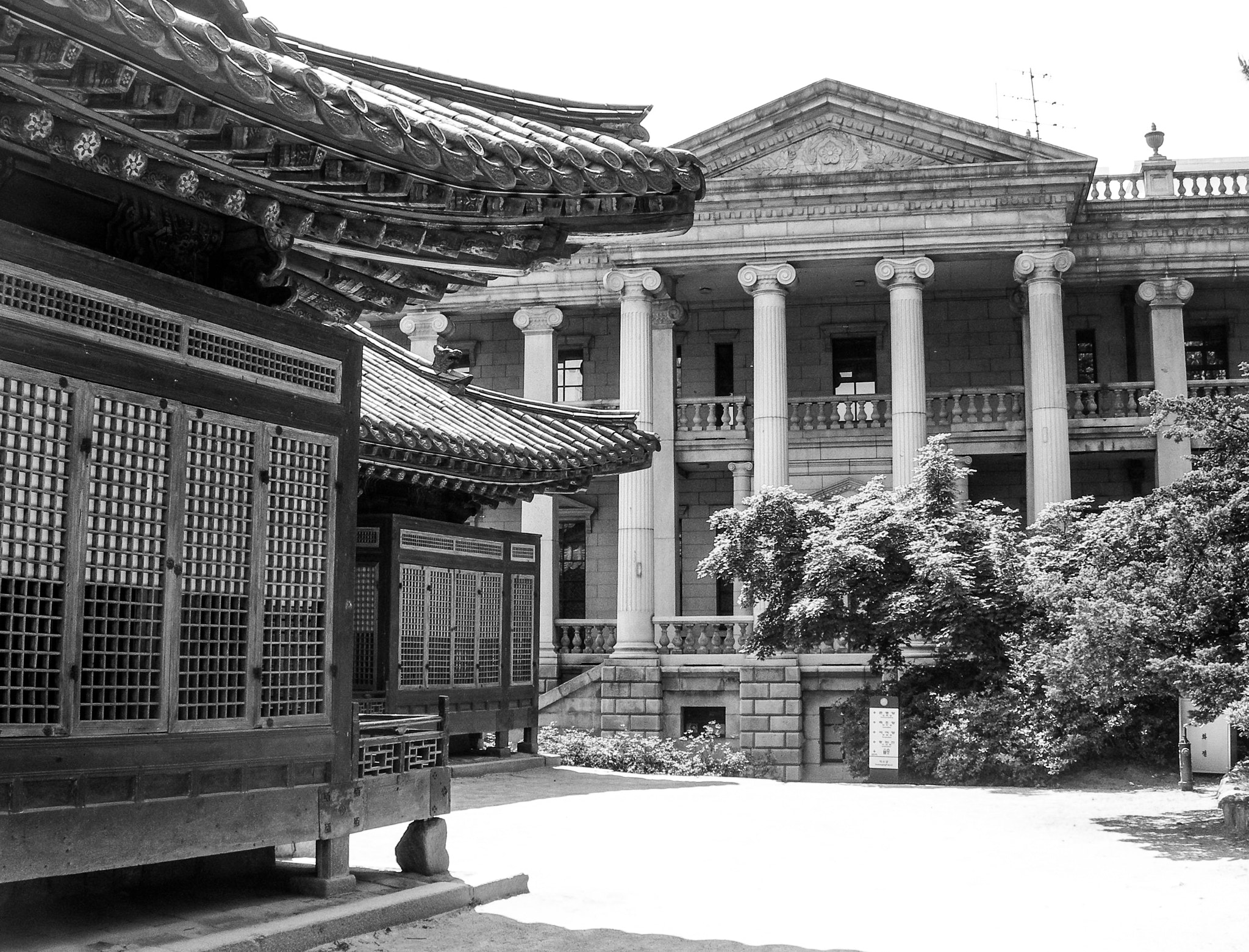 Nikon E7600 sample photo. Contrasts photography