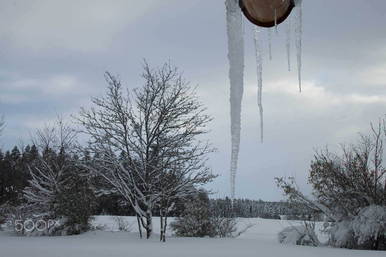 Canon EF-S 18-55mm F3.5-5.6 sample photo. Winter photography
