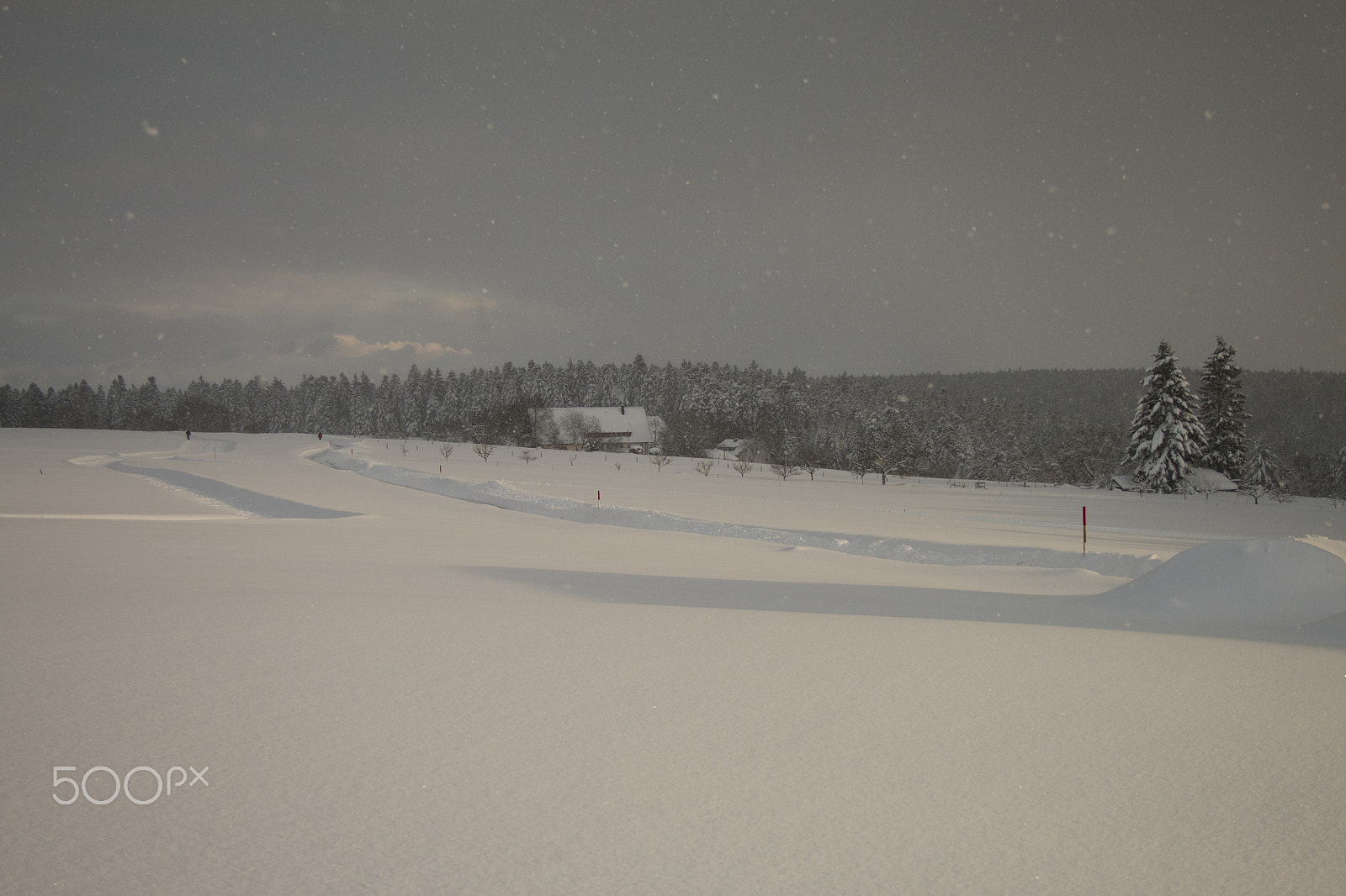 Canon EF-S 18-55mm F3.5-5.6 sample photo. Winter photography