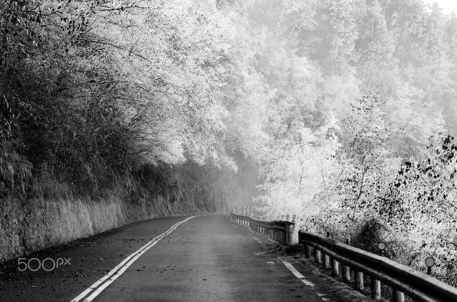 Sigma 50-150mm F2.8 EX APO DC OS HSM sample photo. Frost road photography