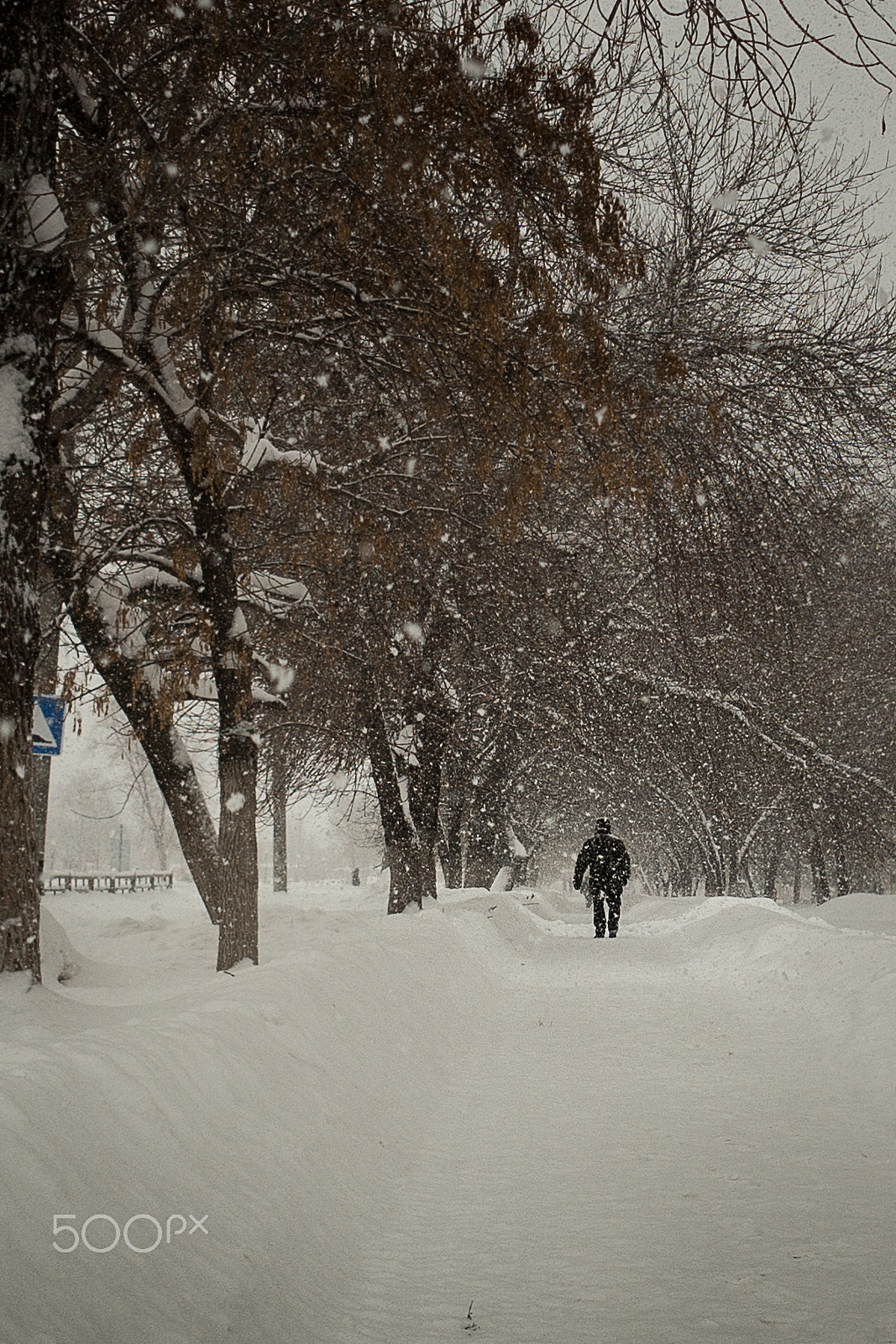 Samsung NX1000 + Samsung NX 16mm F2.4 Pancake sample photo. Very snowy photography