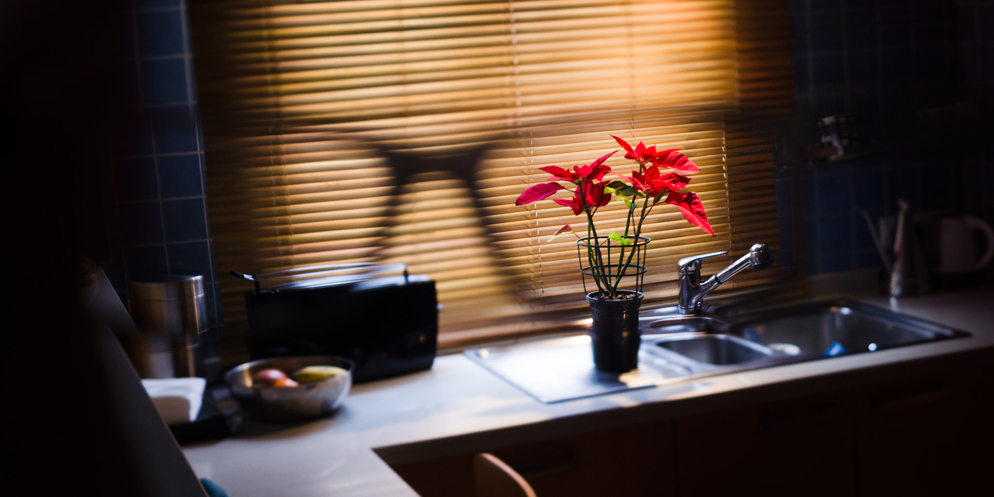 AF Zoom-Nikkor 35-70mm f/3.3-4.5 N sample photo. Glasses photography