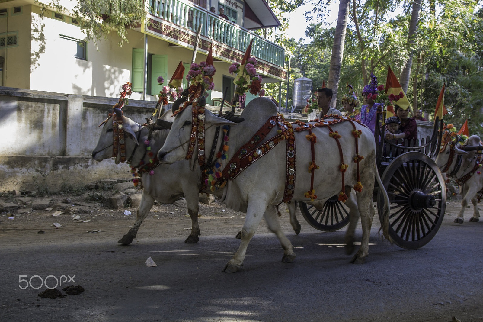 Sigma 17-70mm F2.8-4 DC Macro OS HSM sample photo. Burmese village celebration photography