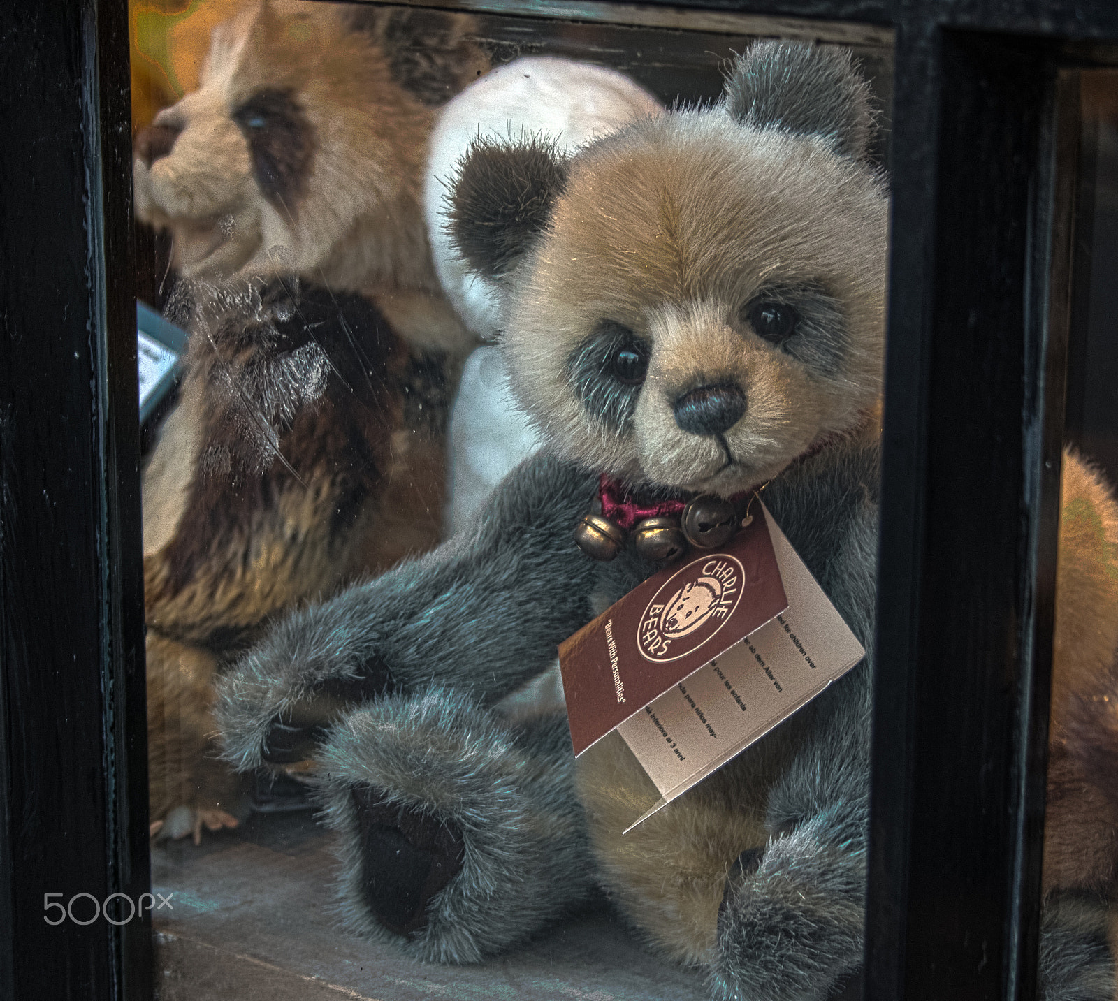 Canon EF-S 18-55mm F3.5-5.6 sample photo. Teddy photography