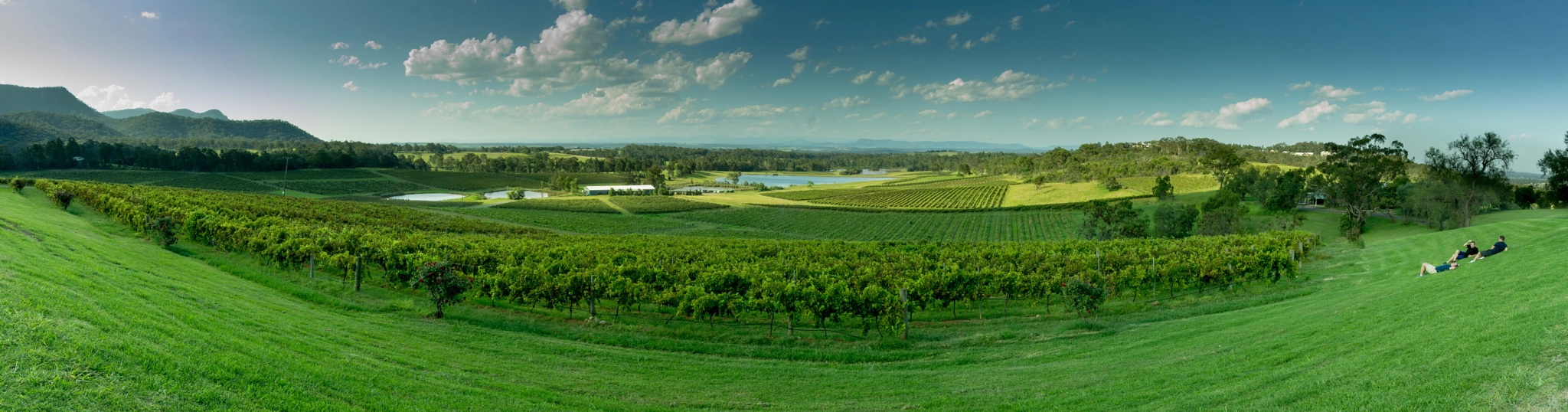 Canon EF-S 10-22mm F3.5-4.5 USM sample photo. Audrey wilkinson winery photography