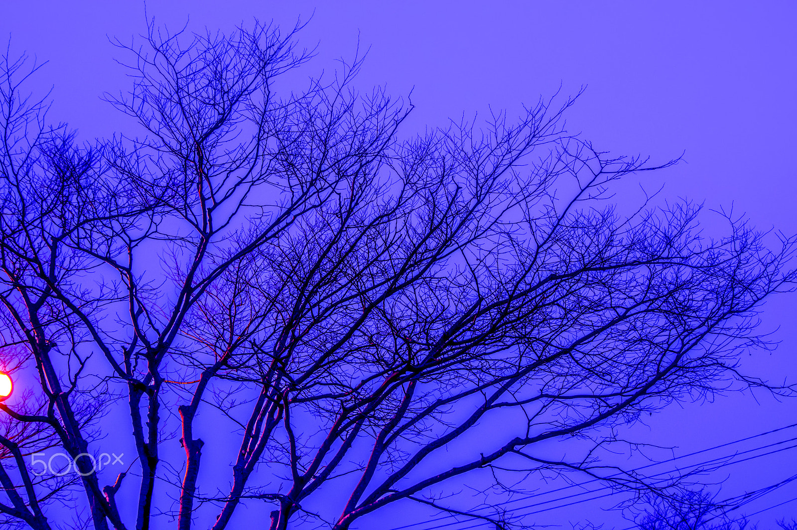 smc PENTAX-DA L 55-300mm F4-5.8 ED sample photo. The light up of the evening photography