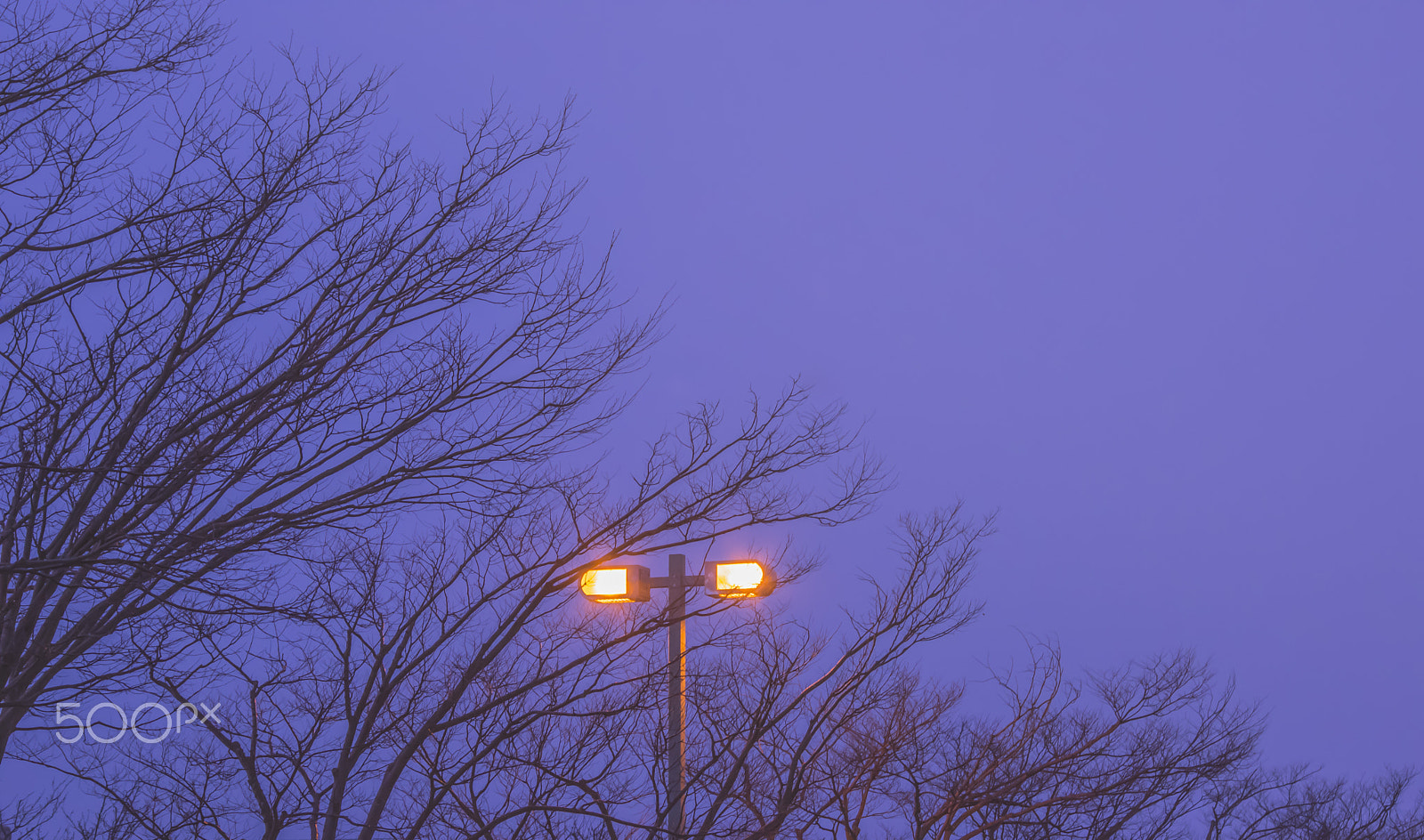 smc PENTAX-DA L 55-300mm F4-5.8 ED sample photo. The light up of the evening photography
