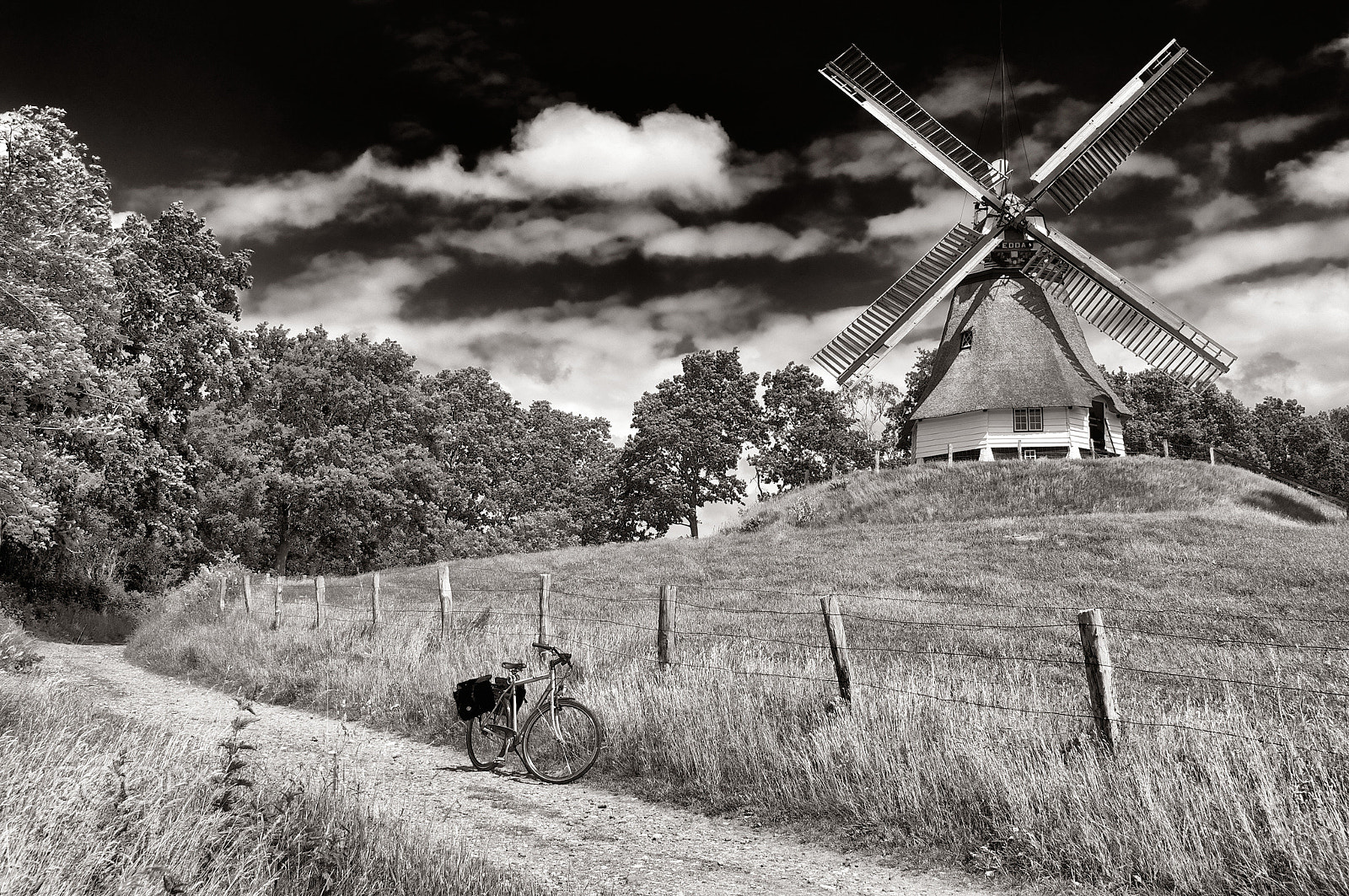 Sony E 18-200mm F3.5-6.3 OSS sample photo. Wheels photography