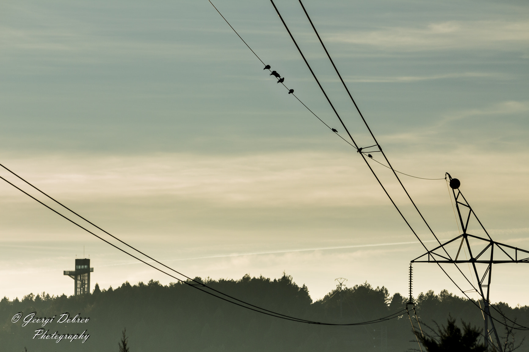 Sigma 70-300mm F4-5.6 APO DG Macro sample photo. Gamonal al atardecer (burgos) photography