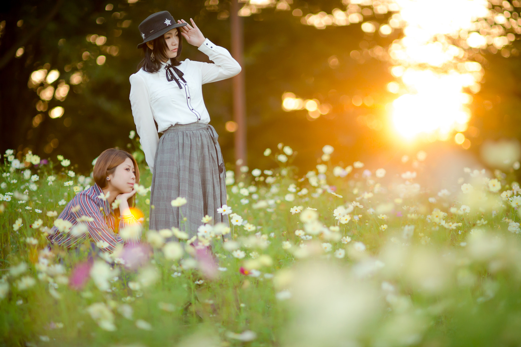 AF DC-Nikkor 135mm f/2D sample photo. Cosmos and with you photography