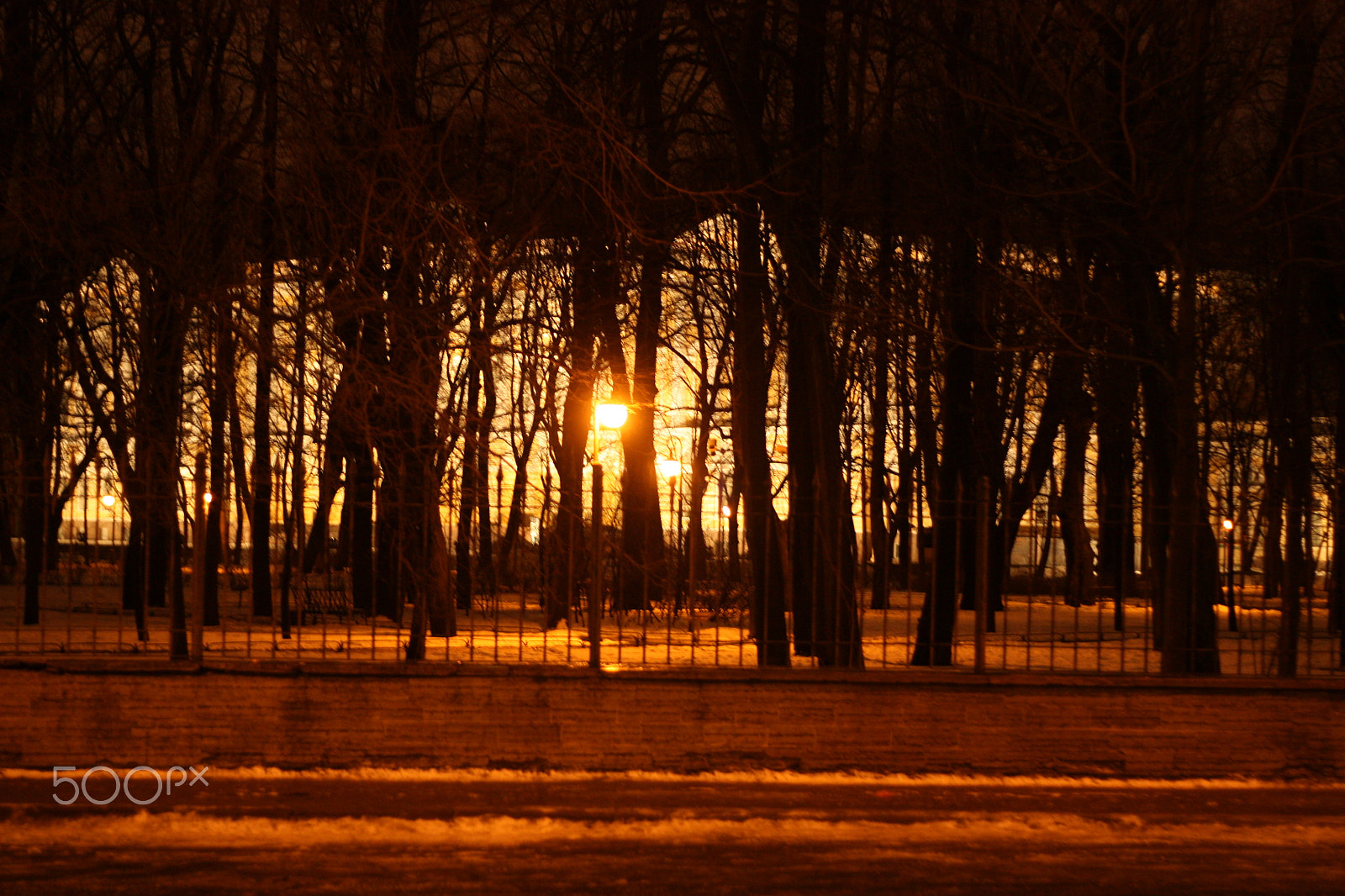 Canon EOS 450D (EOS Rebel XSi / EOS Kiss X2) + Canon EF 50mm f/1.8 sample photo. Saint-petersburg photography