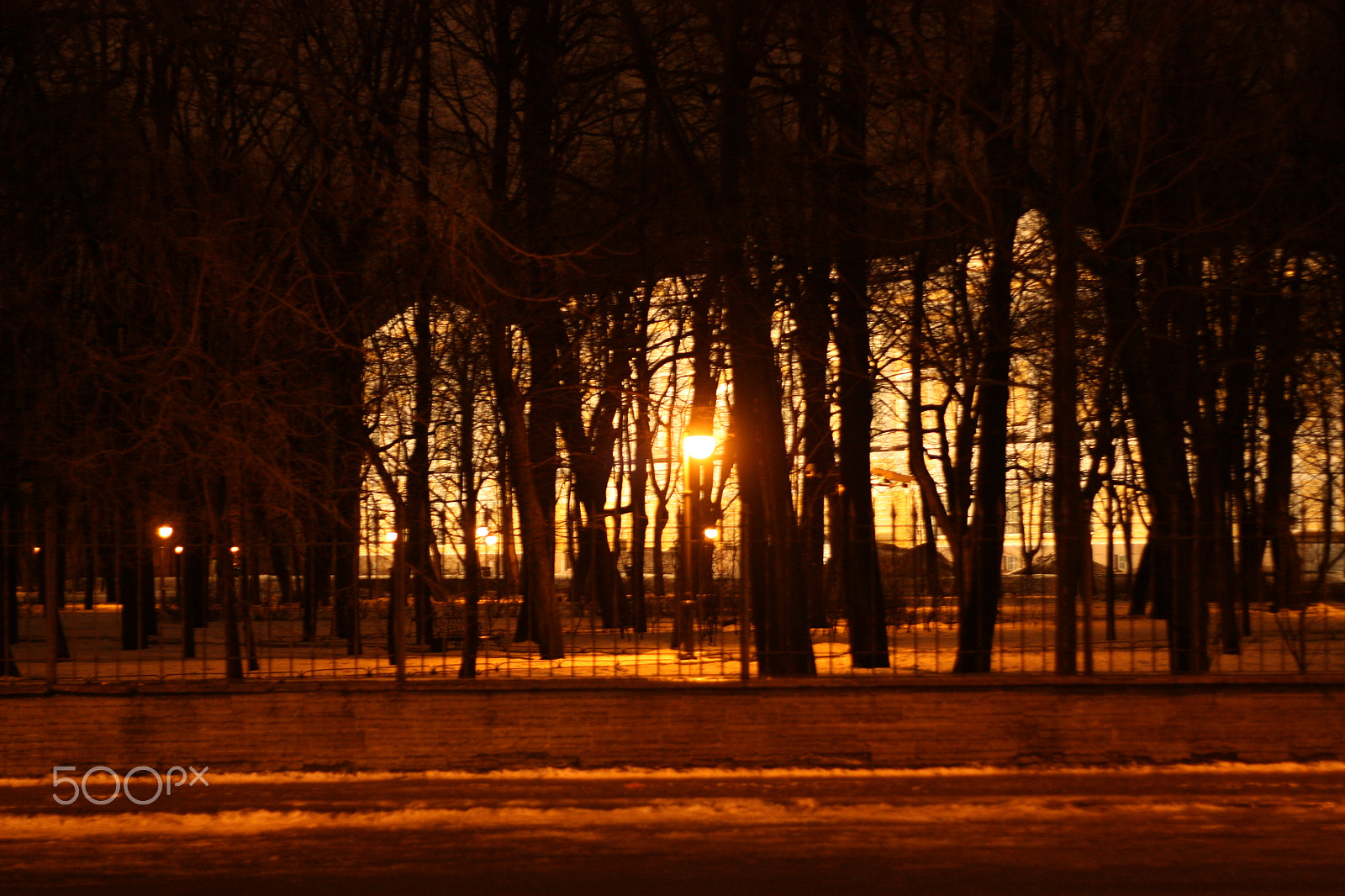 Canon EOS 450D (EOS Rebel XSi / EOS Kiss X2) + Canon EF 50mm f/1.8 sample photo. Saint-petersburg photography