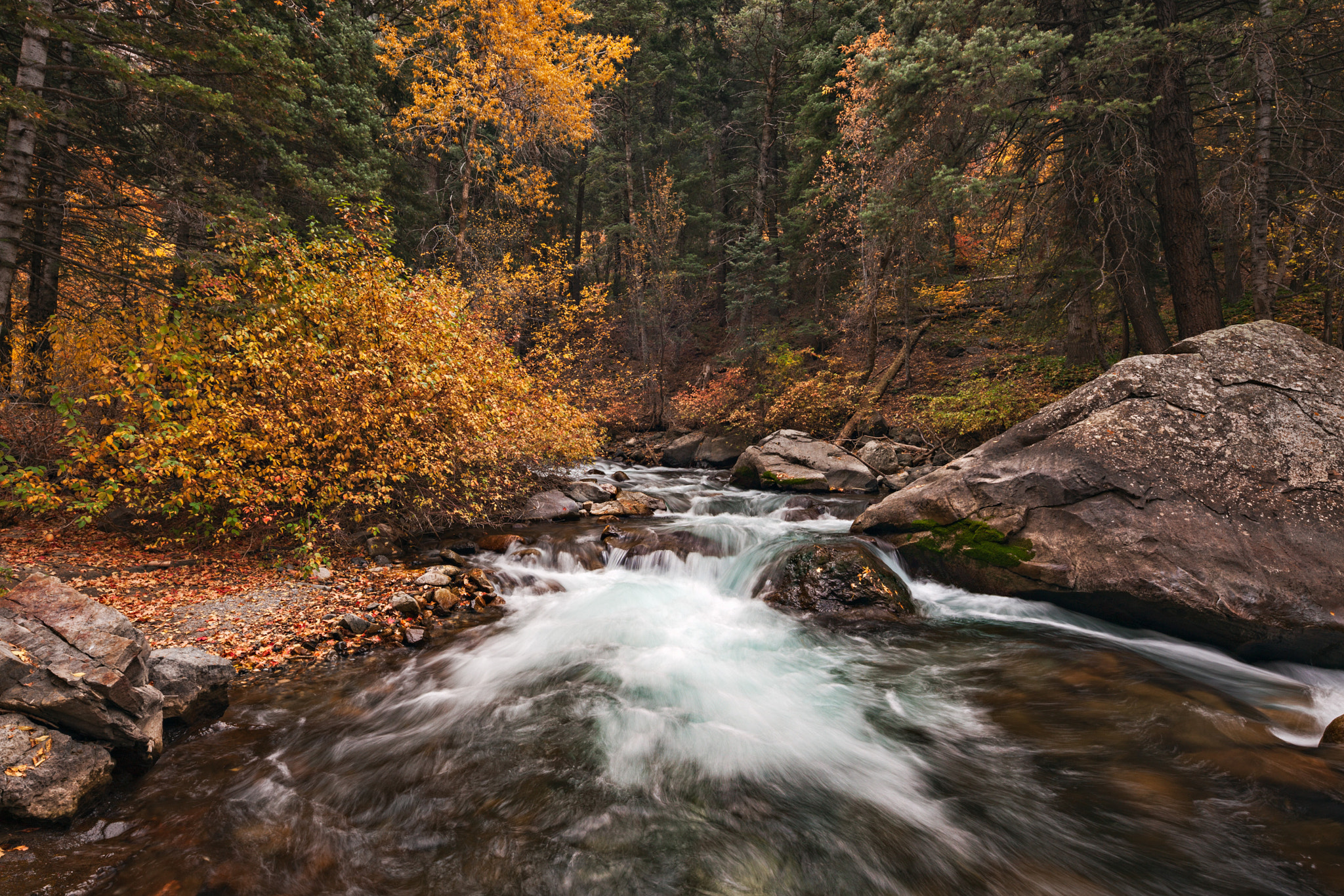 Canon TS-E 17mm F4L Tilt-Shift sample photo. Golden touch photography