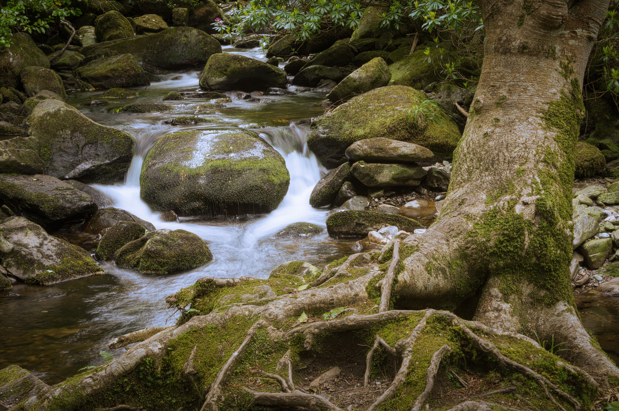 Sony Alpha DSLR-A580 + Minolta AF 28-105mm F3.5-4.5 [New] sample photo. Torc waterfall photography