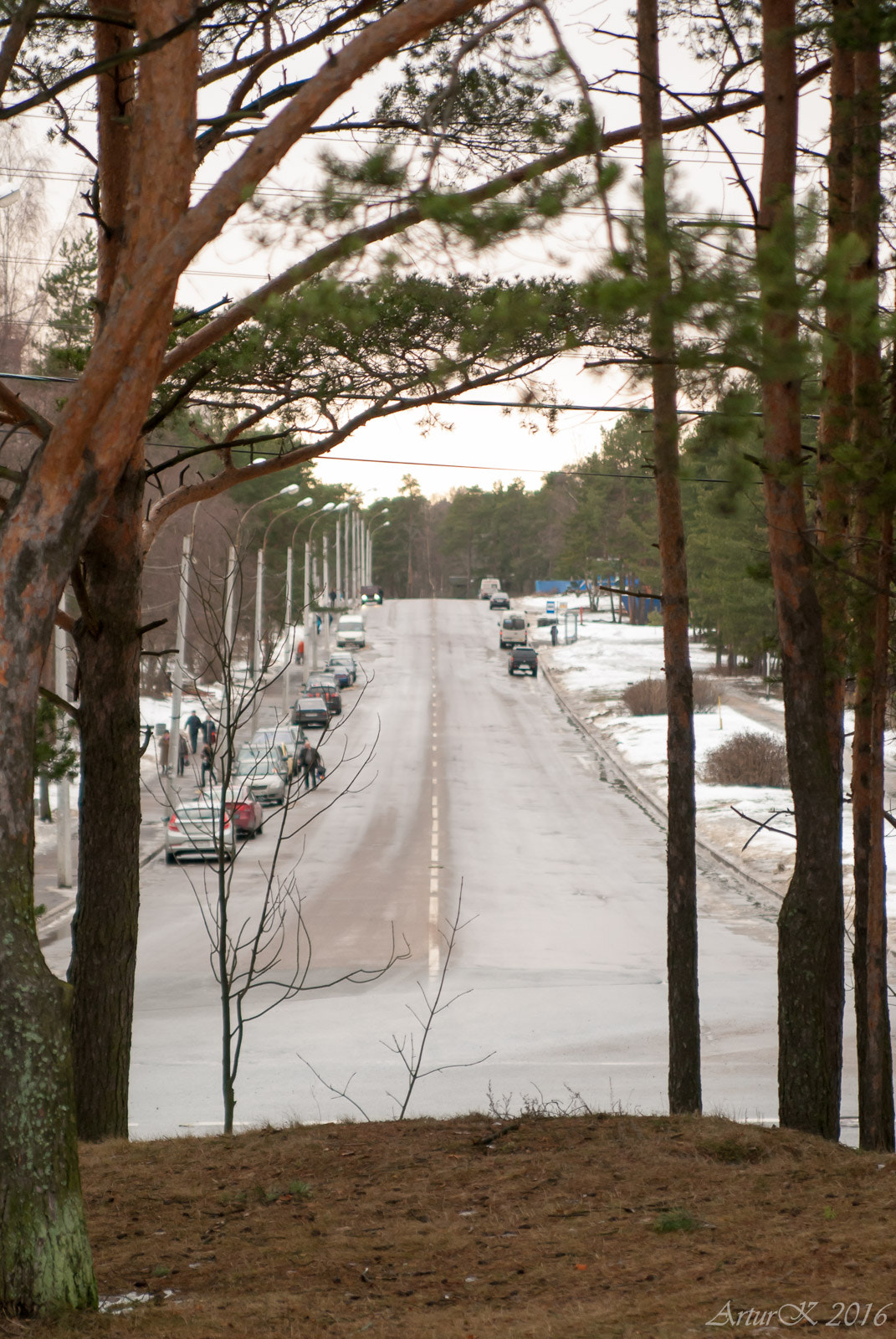 Nikon D200 sample photo. Теплый январь photography