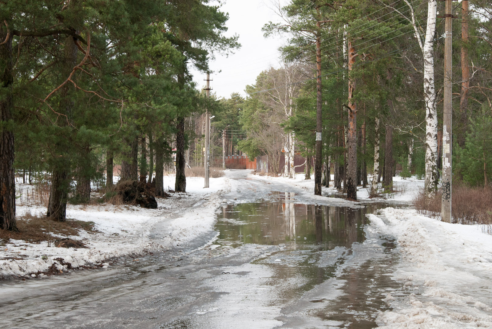 Nikon D200 sample photo. Теплый январь photography