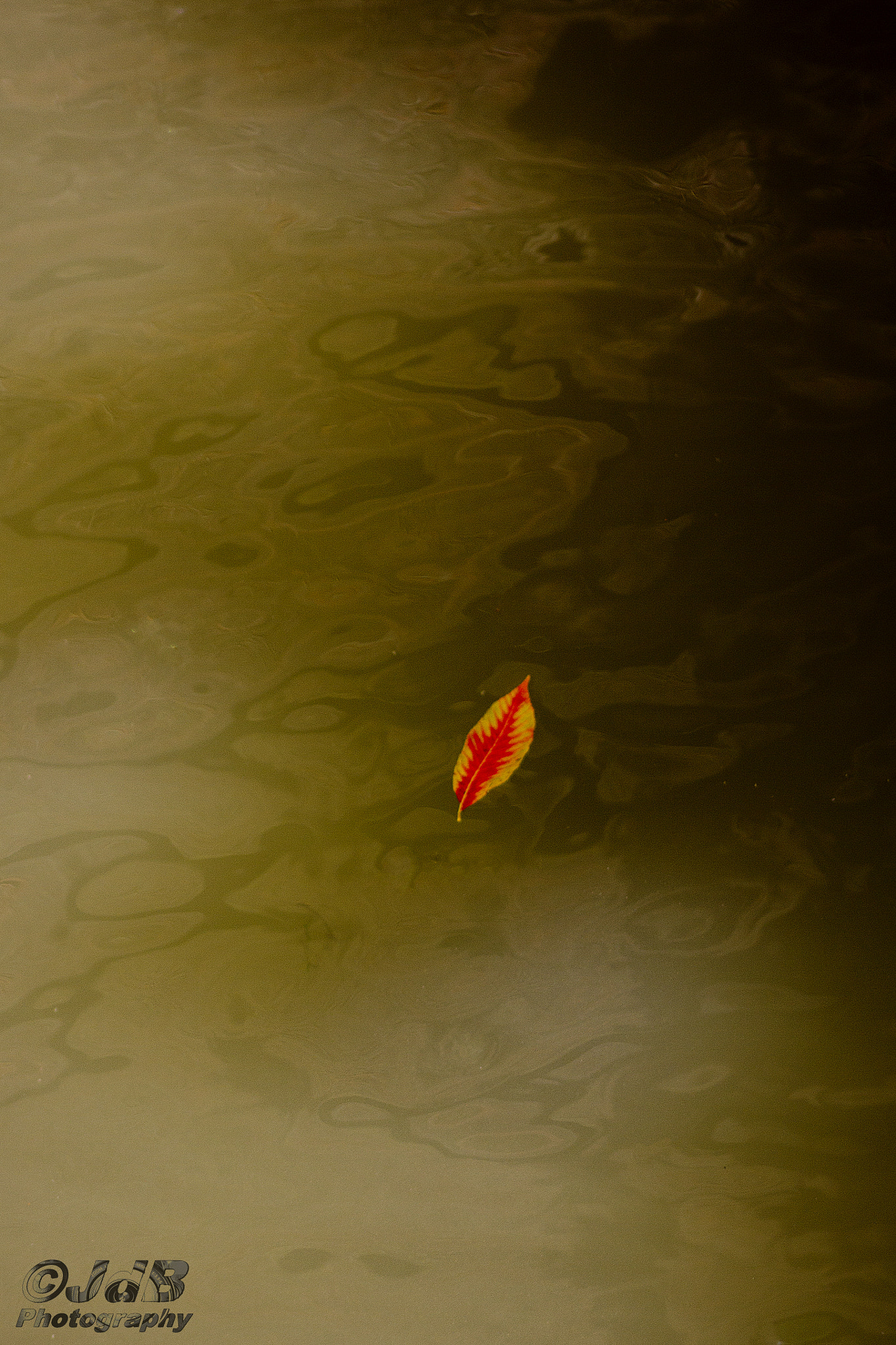 Canon EOS 60D + EF28-70mm f/2.8L USM sample photo. Flooting photography