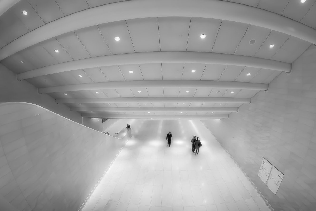Nikon D810 + Nikon AF Fisheye-Nikkor 16mm F2.8D sample photo. Walkway photography