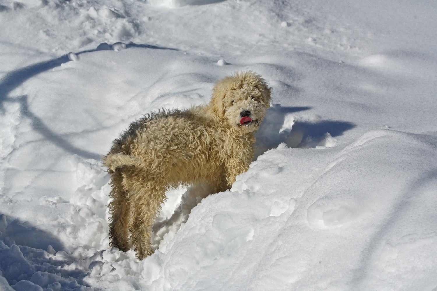 100-400mm F4.5-5.6 G SSM OSS sample photo. Wow! this stuff is good! photography