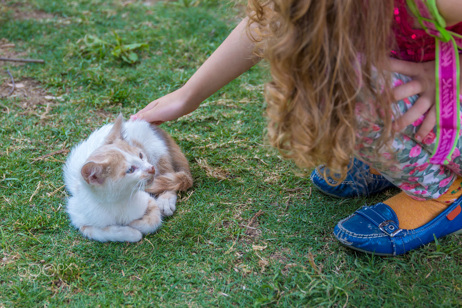 Sigma 24-105mm f/4 DG OS HSM | A sample photo. Cat and child photography