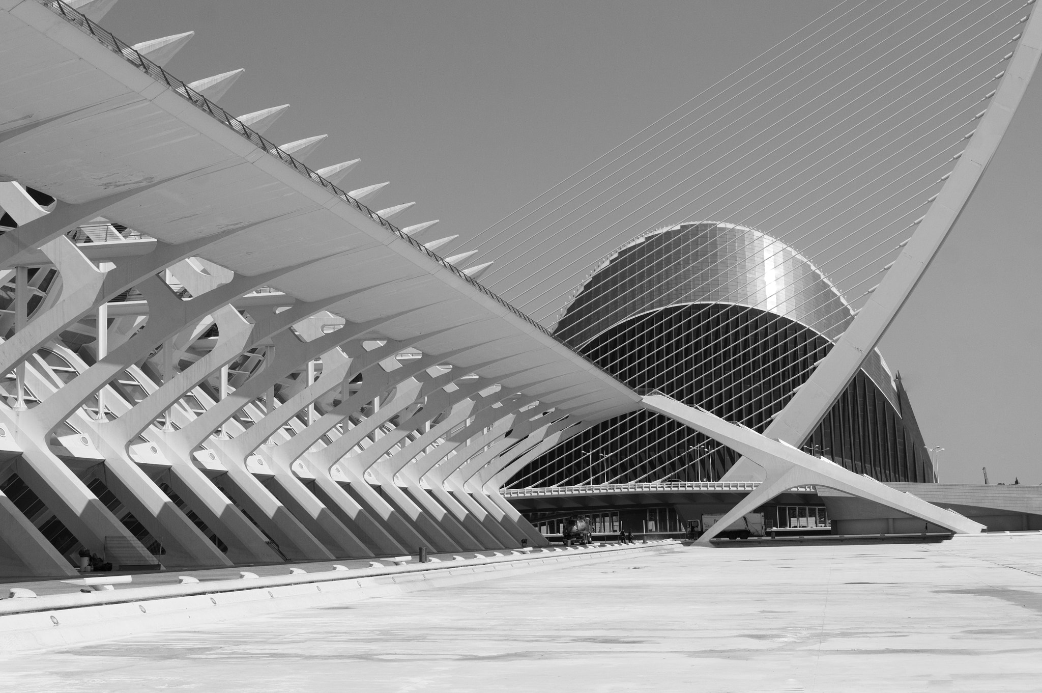 Sony Alpha NEX-F3 + Sony E 35mm F1.8 OSS sample photo. Ciudad de las artes y las ciencias. photography