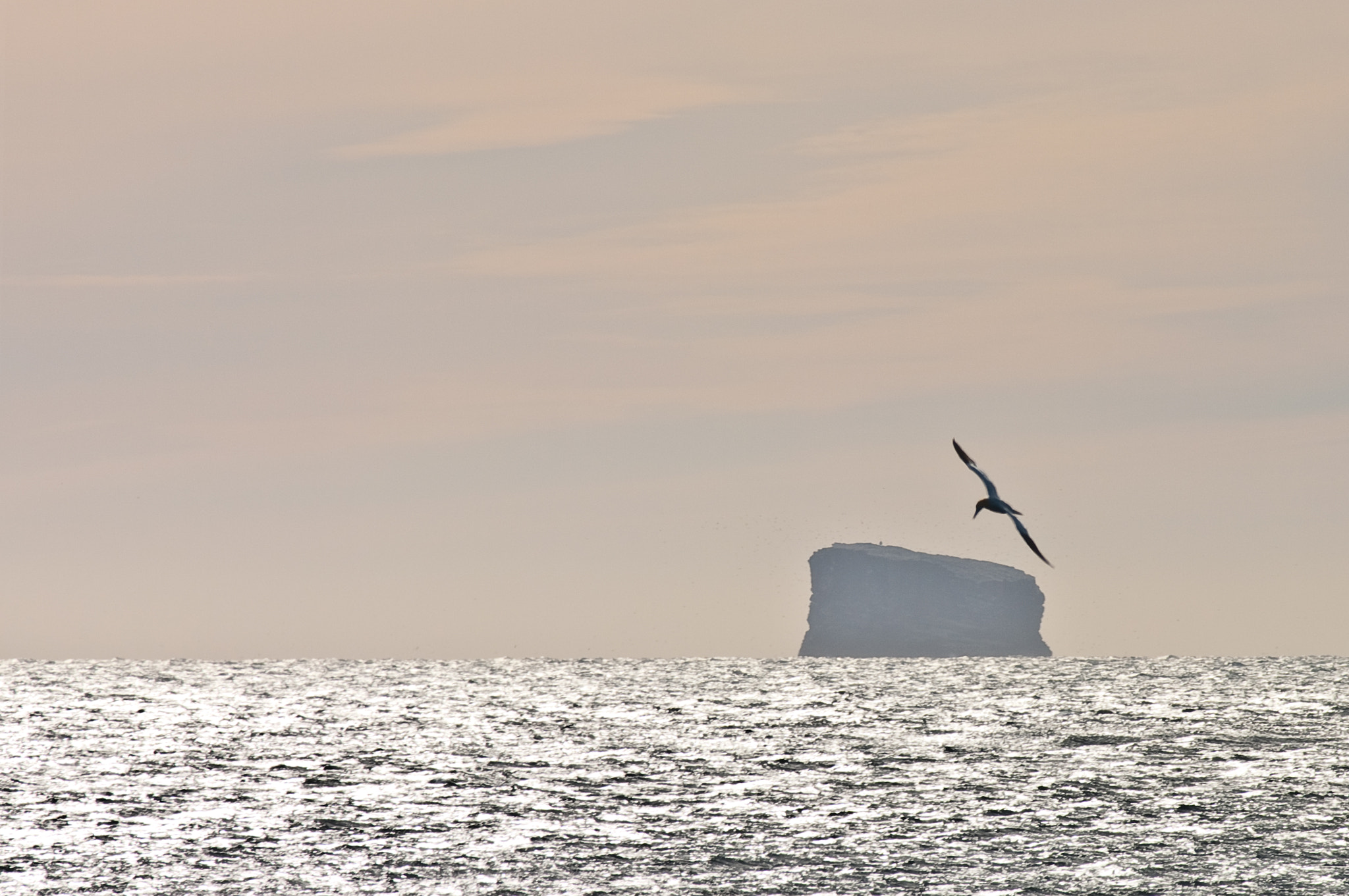 Pentax K20D + Pentax smc DA* 300mm F4.0 ED (IF) SDM sample photo. Eldey island photography