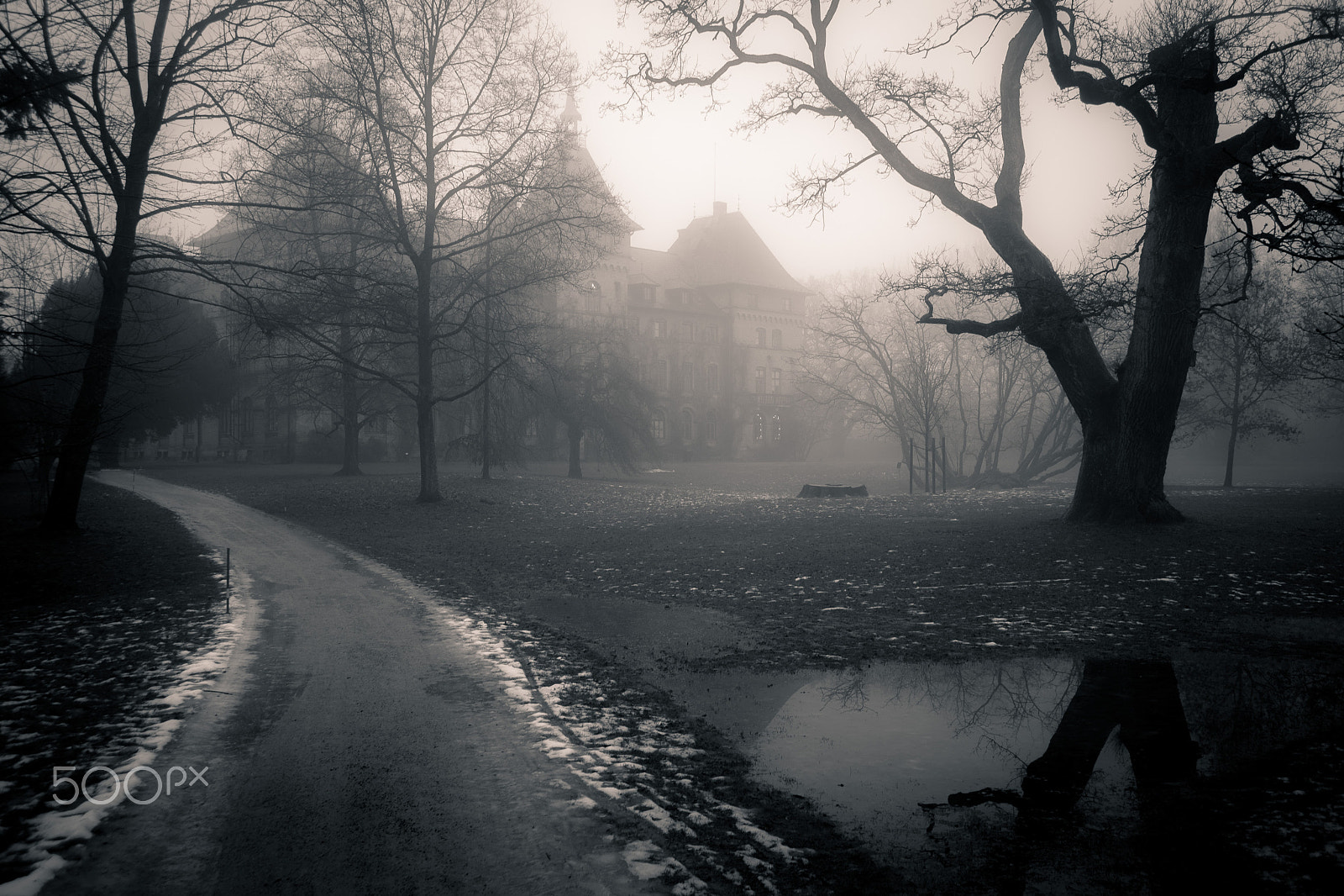 Canon EF 24-85mm F3.5-4.5 USM sample photo. The road to the castle photography