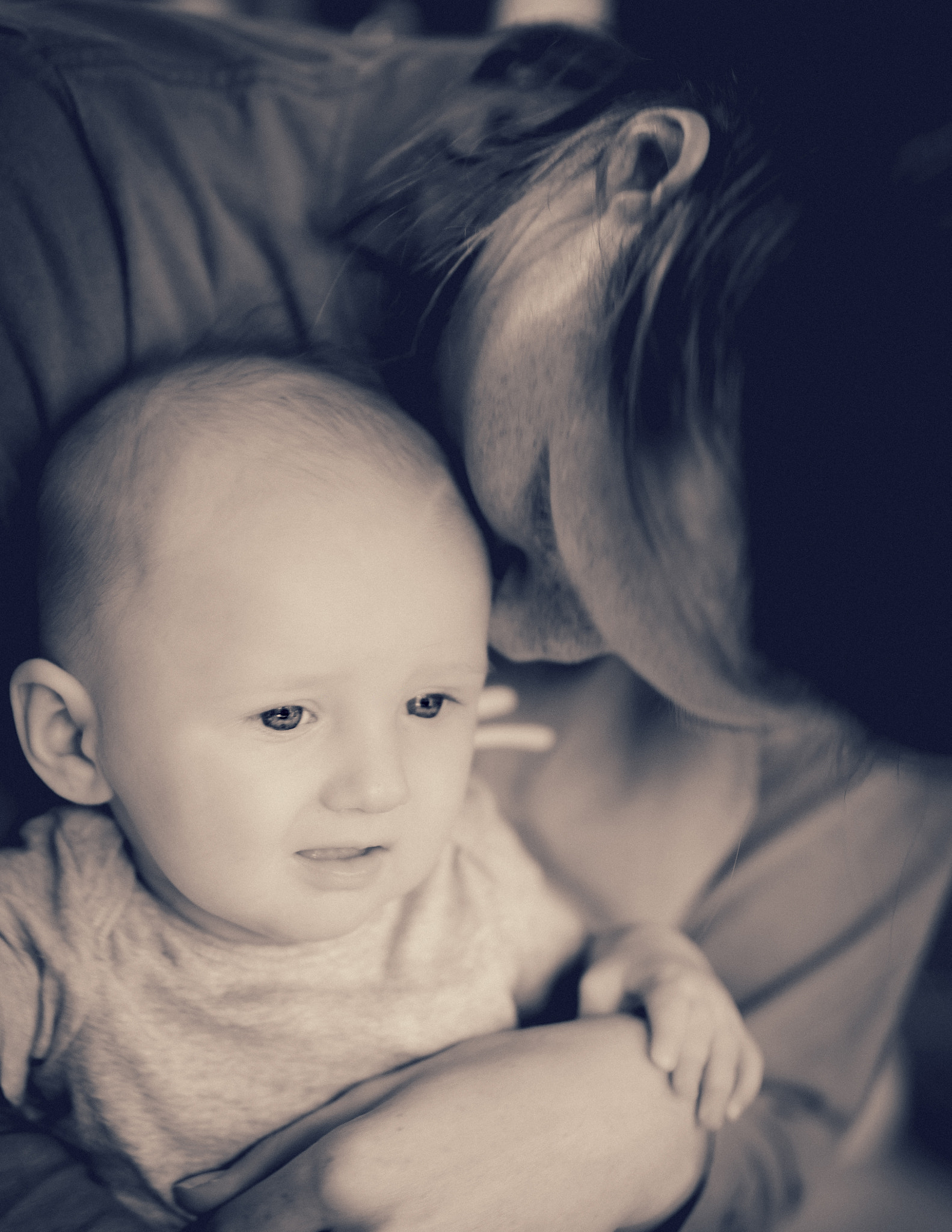 Nikon D7000 + Sigma 50mm F1.4 DG HSM Art sample photo. Comforting photography