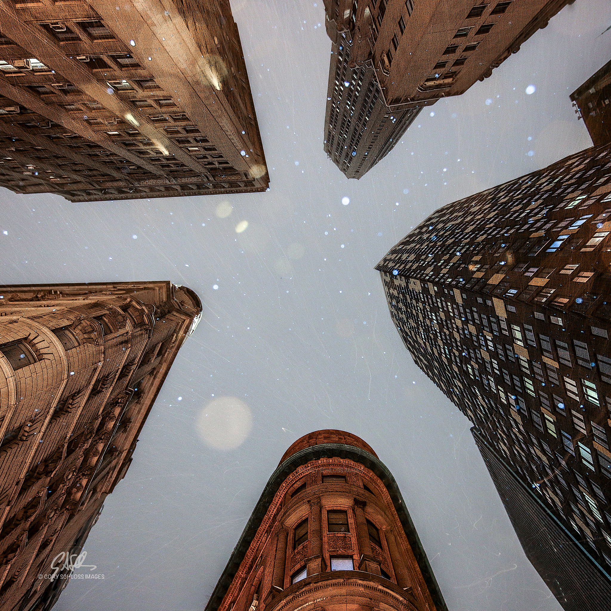 Canon EOS 70D + Canon EF 11-24mm F4L USM sample photo. Look up! photography