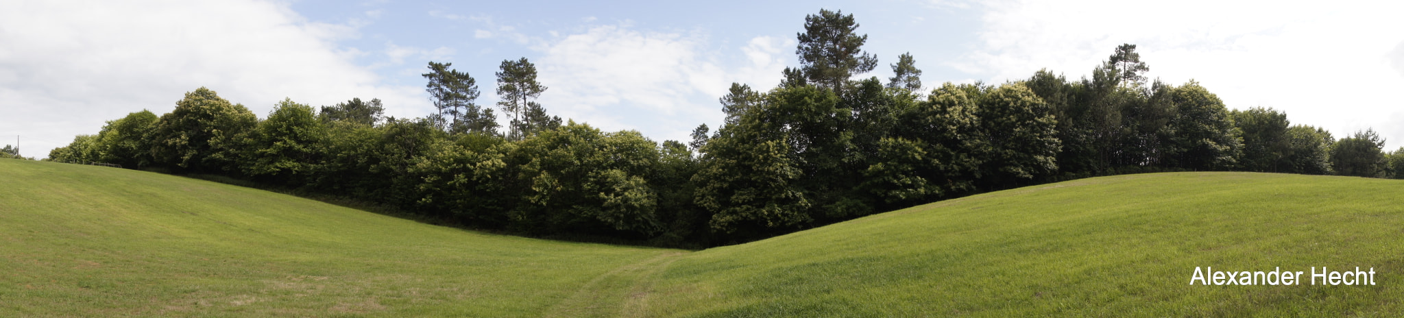 Sony SLT-A55 (SLT-A55V) sample photo. Wellen photography