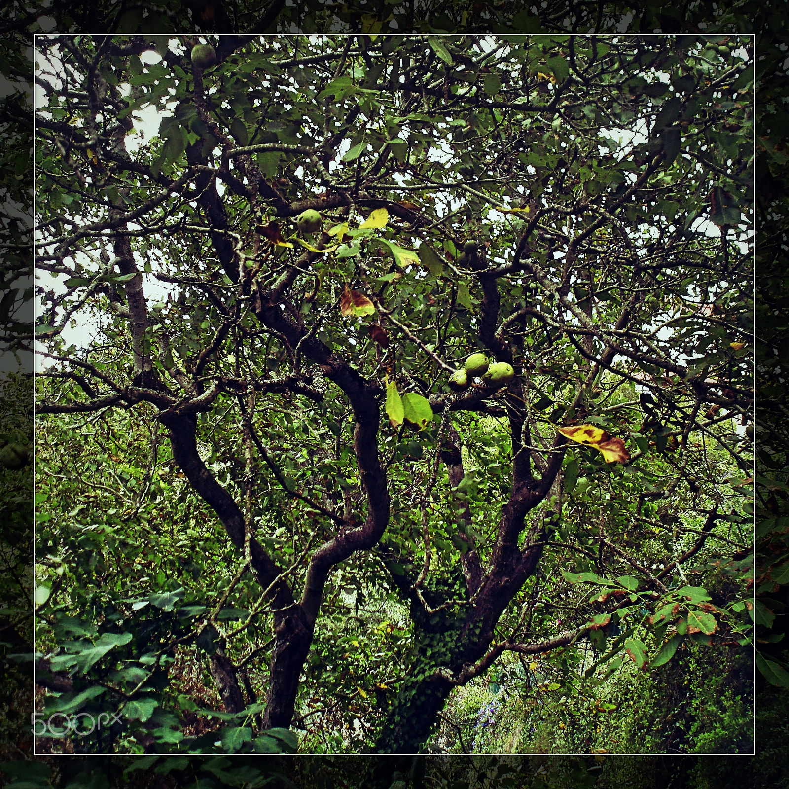 Olympus u760,S760 sample photo. Sintra 2015 photography
