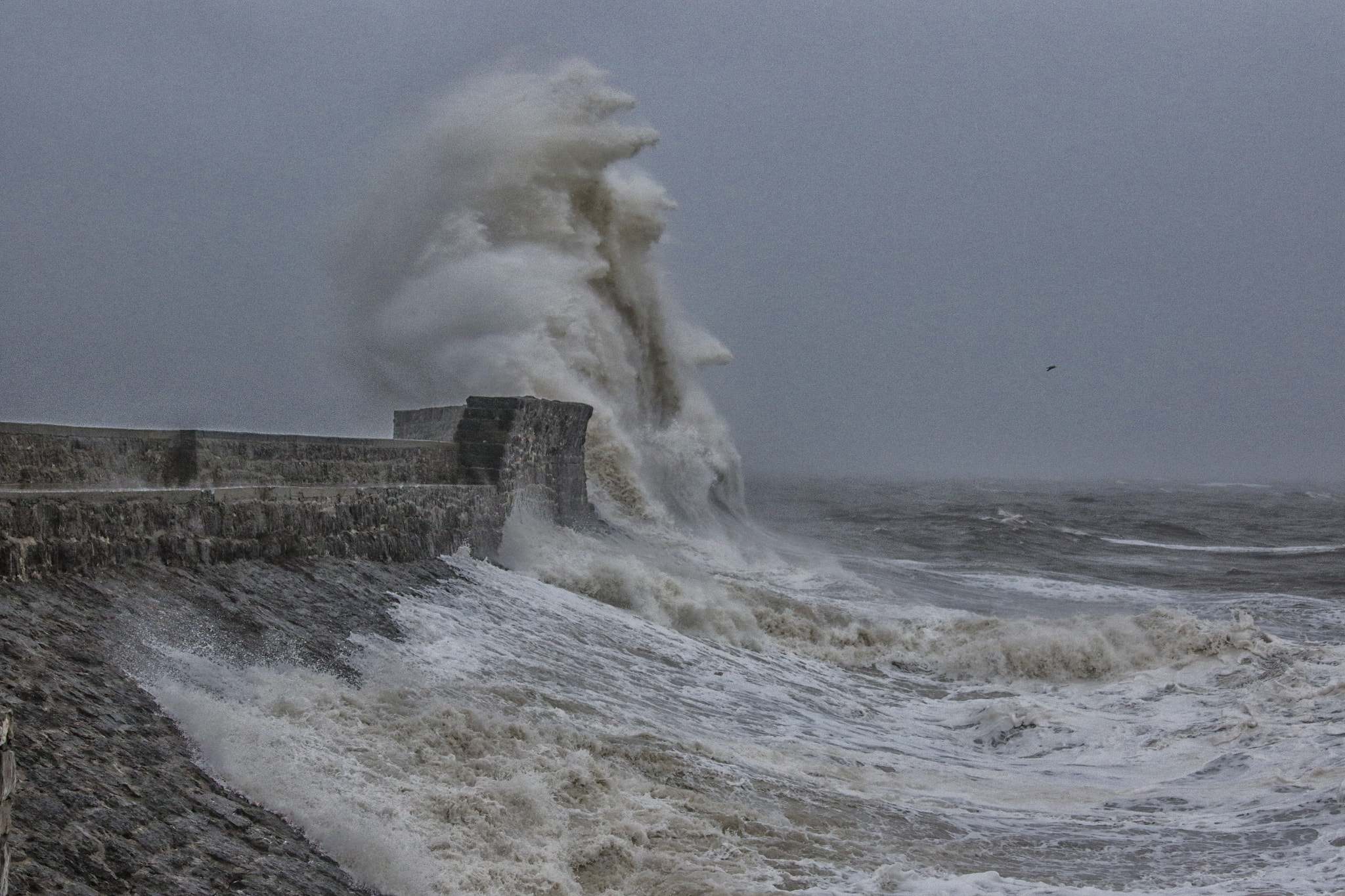 Canon EF 28-300mm F3.5-5.6L IS USM sample photo. Storm gertrude photography