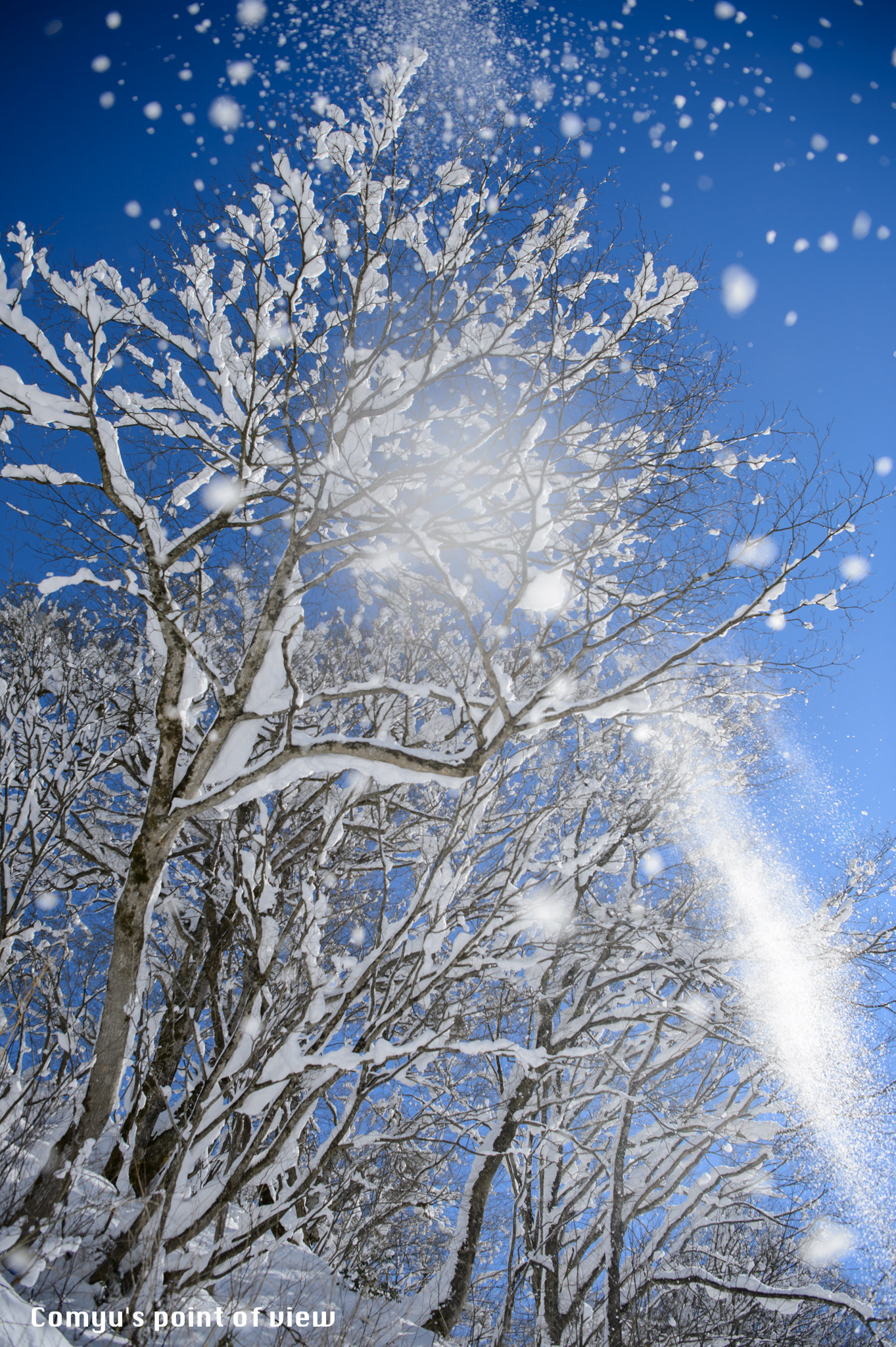 Nikon AF-S Nikkor 24-70mm F2.8E ED VR sample photo. Snow dance photography