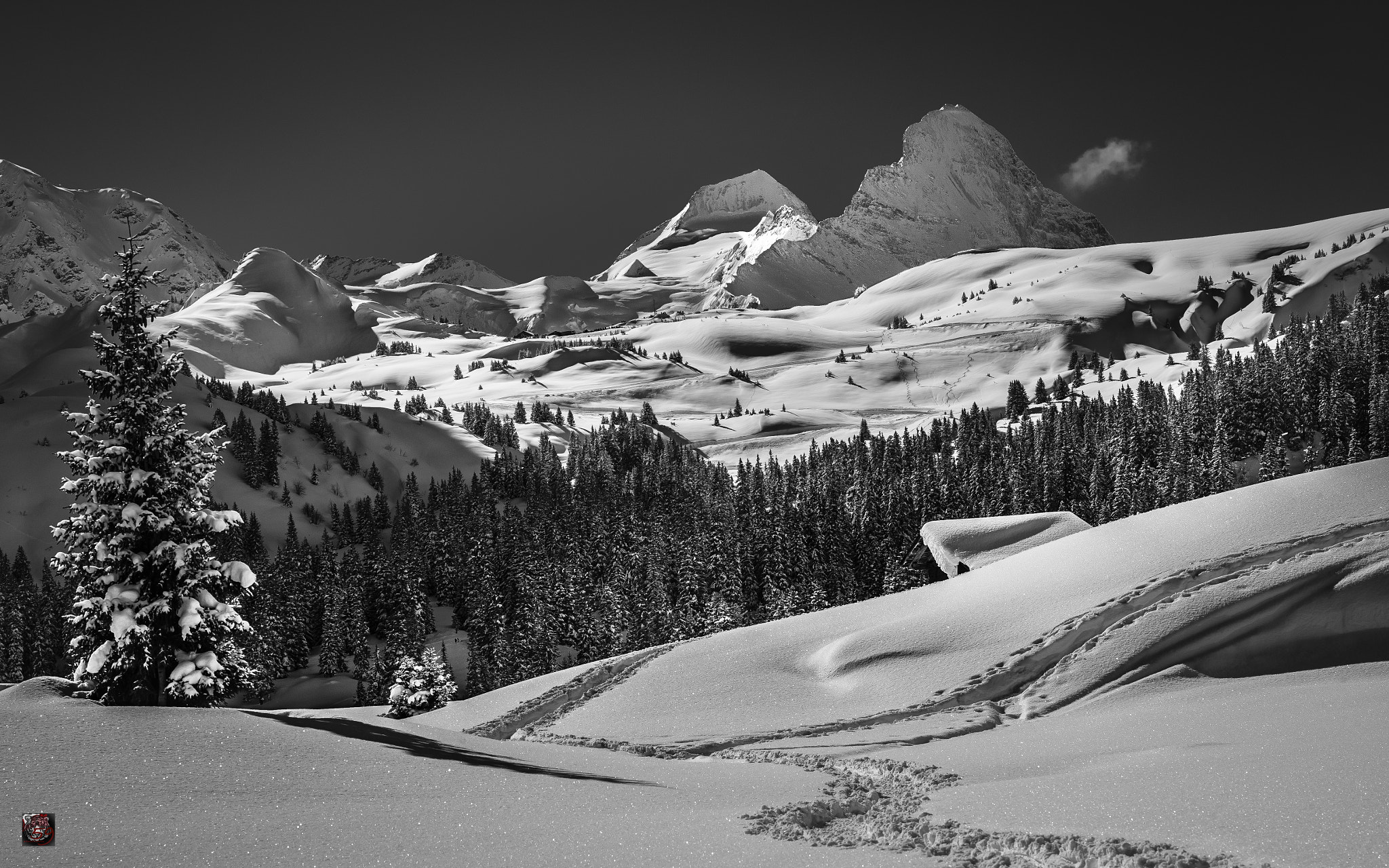 Leica M9 + Leica APO-Summicron-M 90mm F2 ASPH sample photo. Winter: what about a snow shoe hike up to the 'grosse scheidegg'? photography