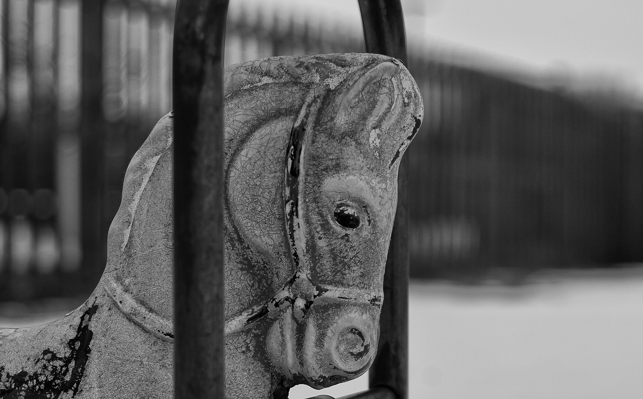 Nikon D2X + AF Nikkor 50mm f/1.4 sample photo. Old horse photography