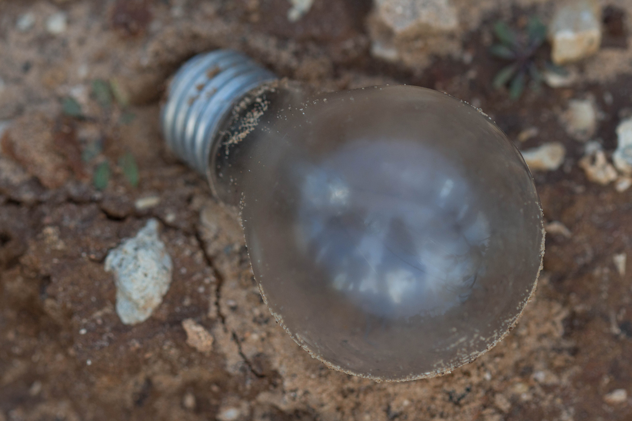 Canon EOS 700D (EOS Rebel T5i / EOS Kiss X7i) + Canon EF 100mm F2.8 Macro USM sample photo. A light bulb photography