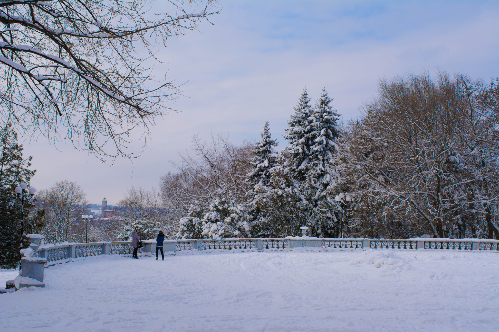 Nikon D7100 + AF-S Nikkor 35mm f/1.8G sample photo. Dsc_1397.jpg photography