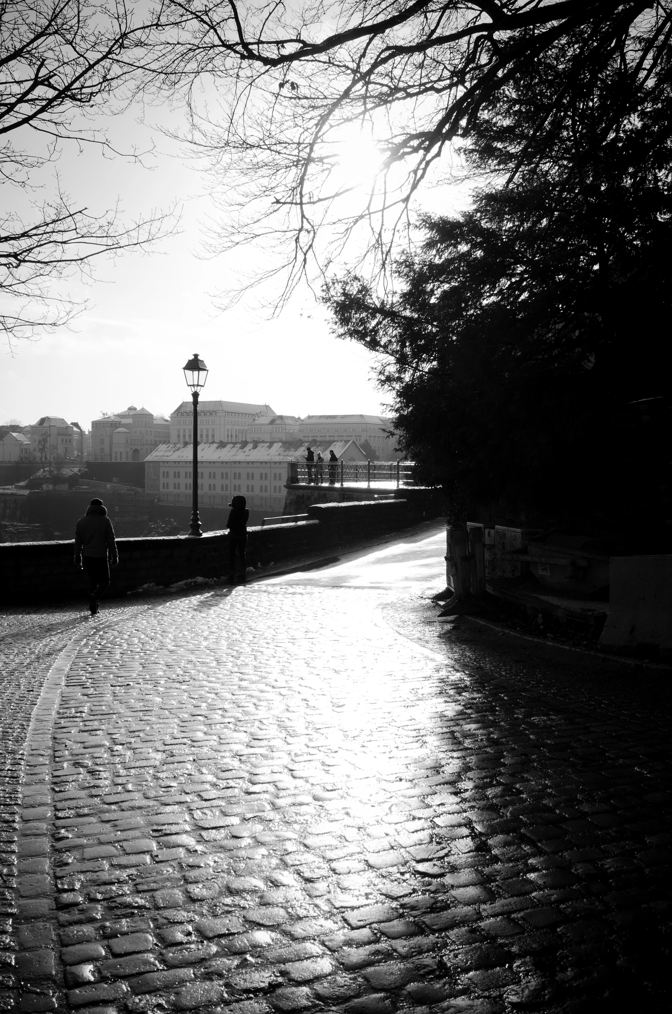 Summicron T 1:2 23 ASPH. sample photo. Sun photography