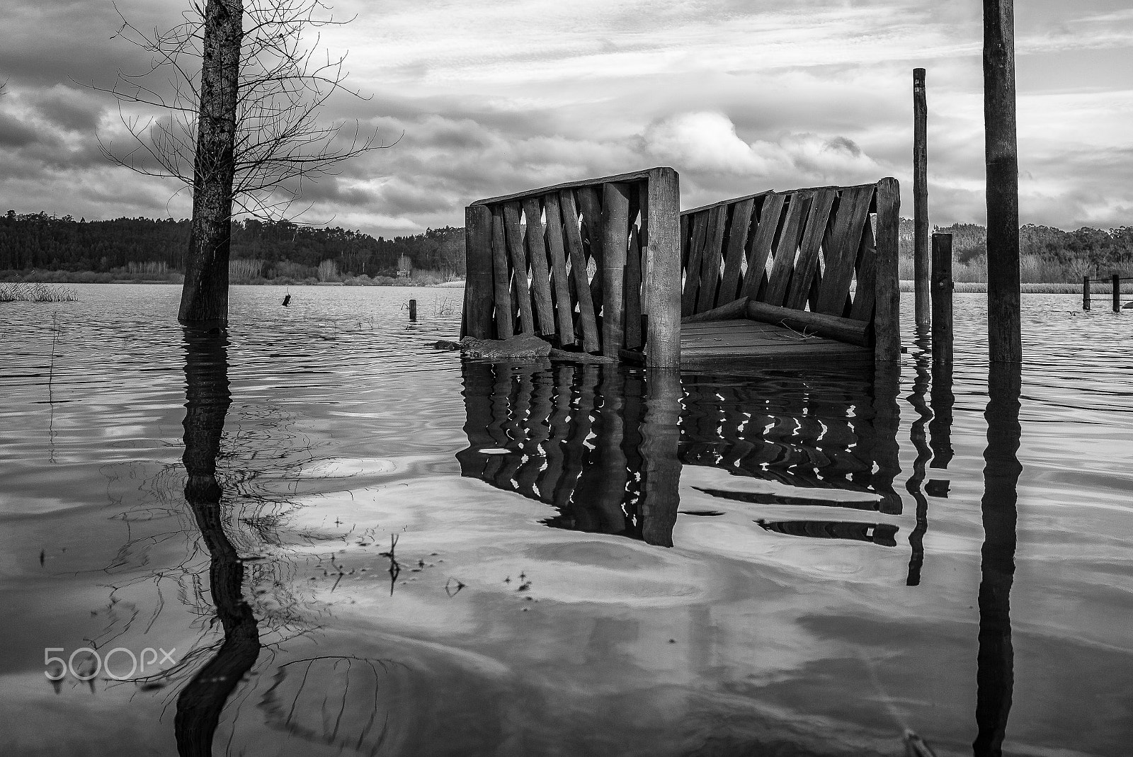 Elmarit-M 1:2.8/24 ASPH. sample photo. 'the bridge' photography