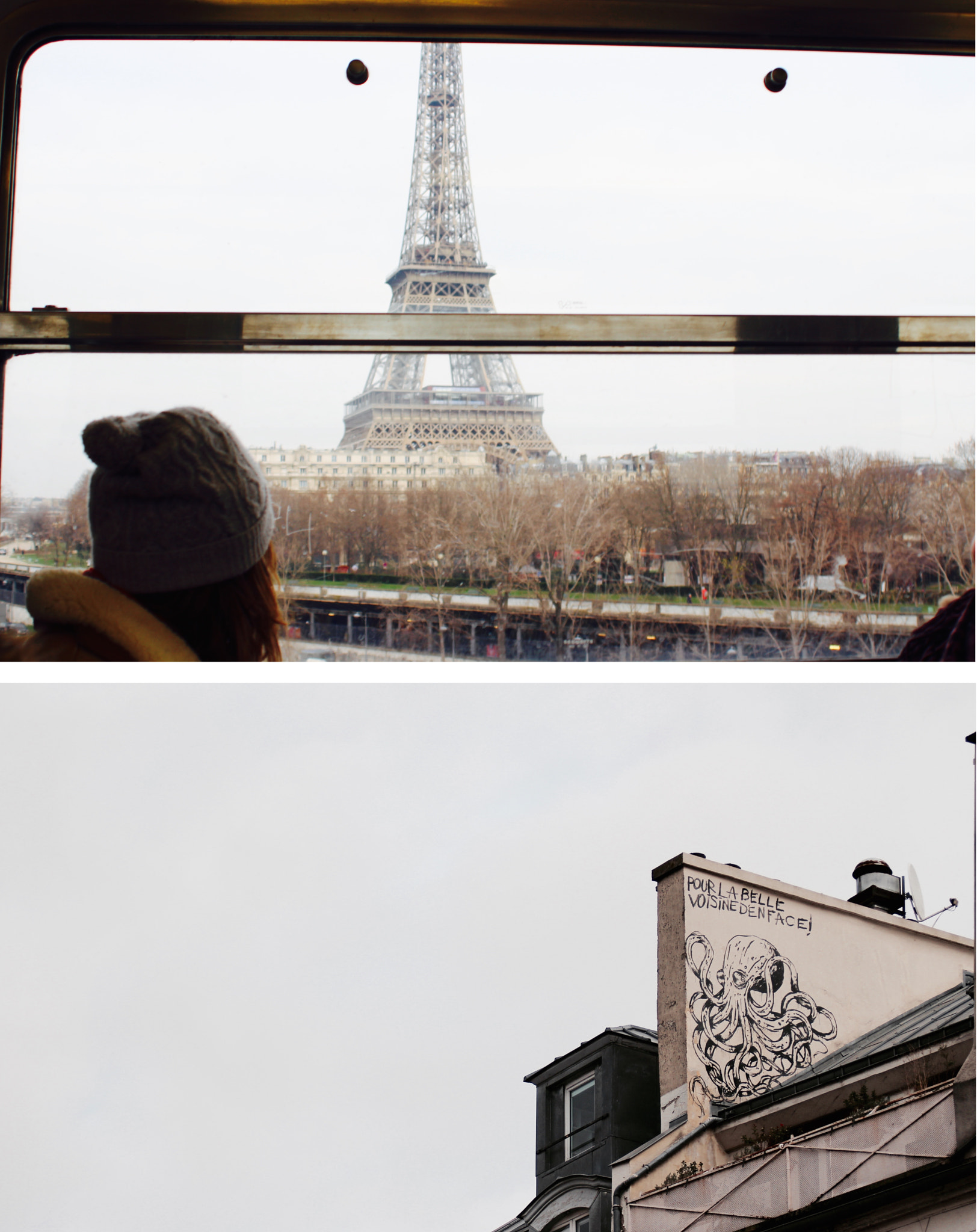 Canon EF 28-80mm f/3.5-5.6 sample photo. Pour la belle voisine d'en face ! photography