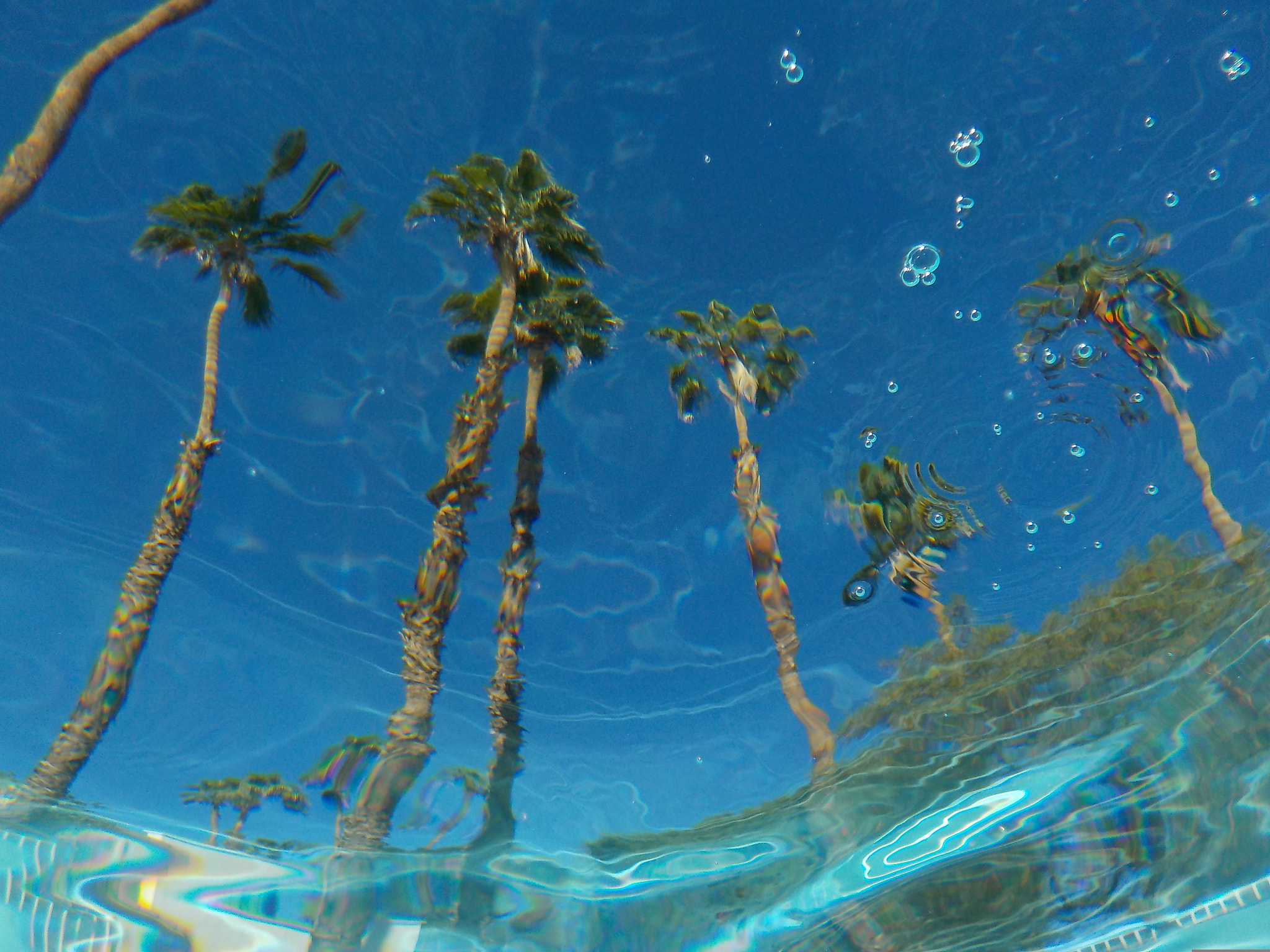 Nikon Coolpix S32 sample photo. Beneath the surface photography