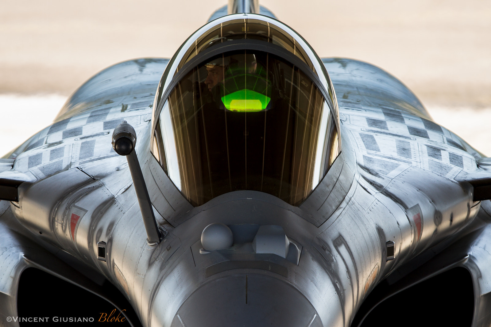 Canon EF 300mm F2.8L IS USM sample photo. Rafale c photography