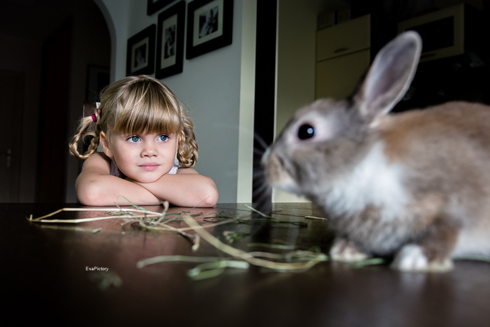 Sigma 18-35mm f/1.8 DC HSM sample photo. Friends photography