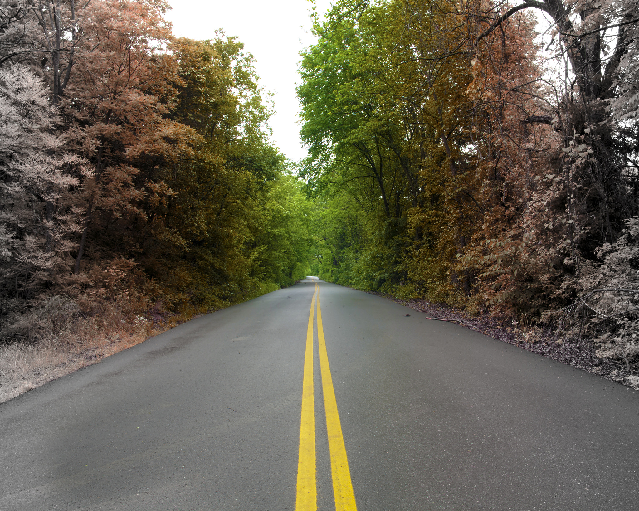 Canon EOS 5D + Canon EF 24mm F2.8 sample photo. Season road photography