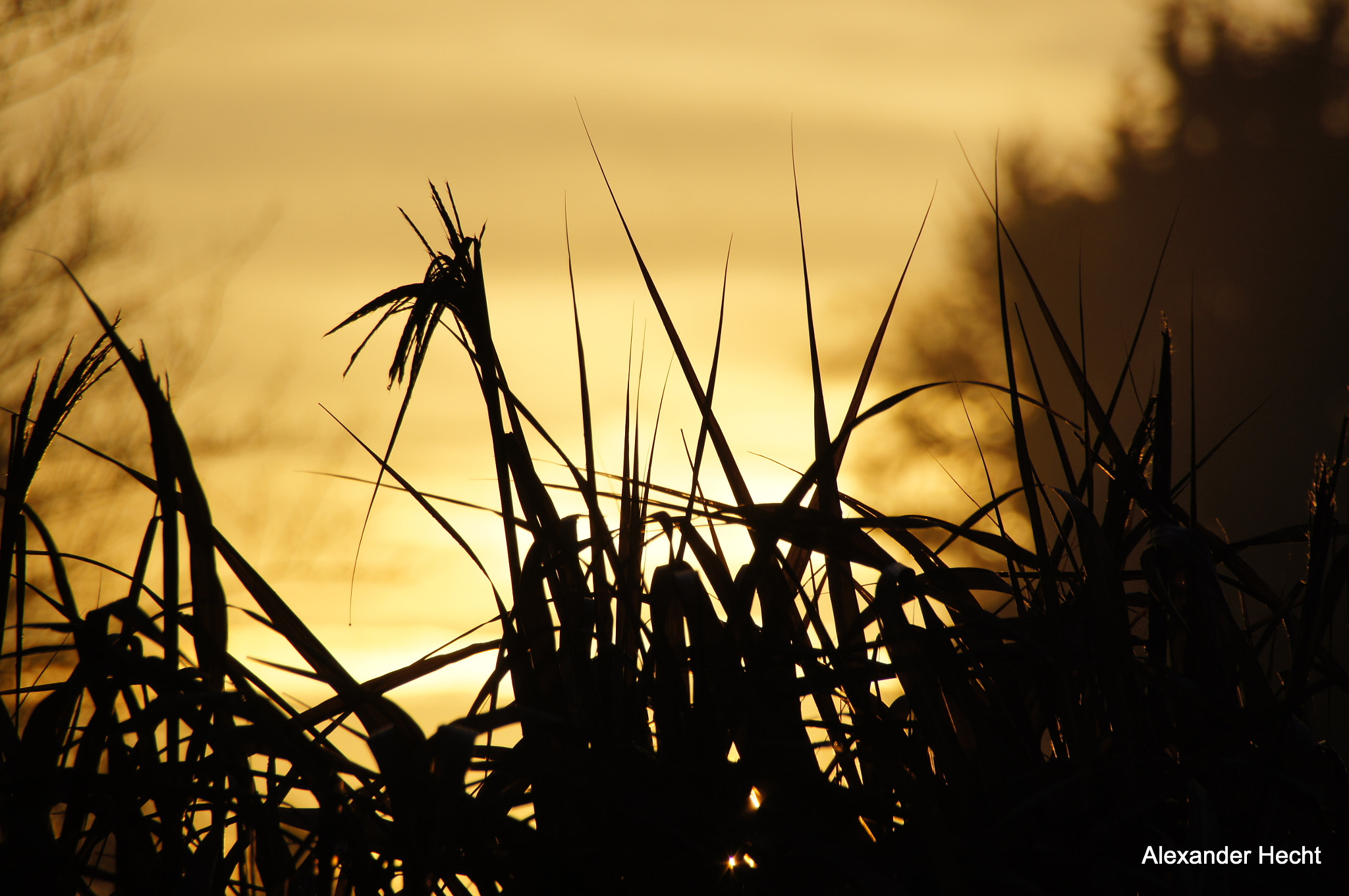 Sony SLT-A55 (SLT-A55V) sample photo. Sonnenuntergang photography